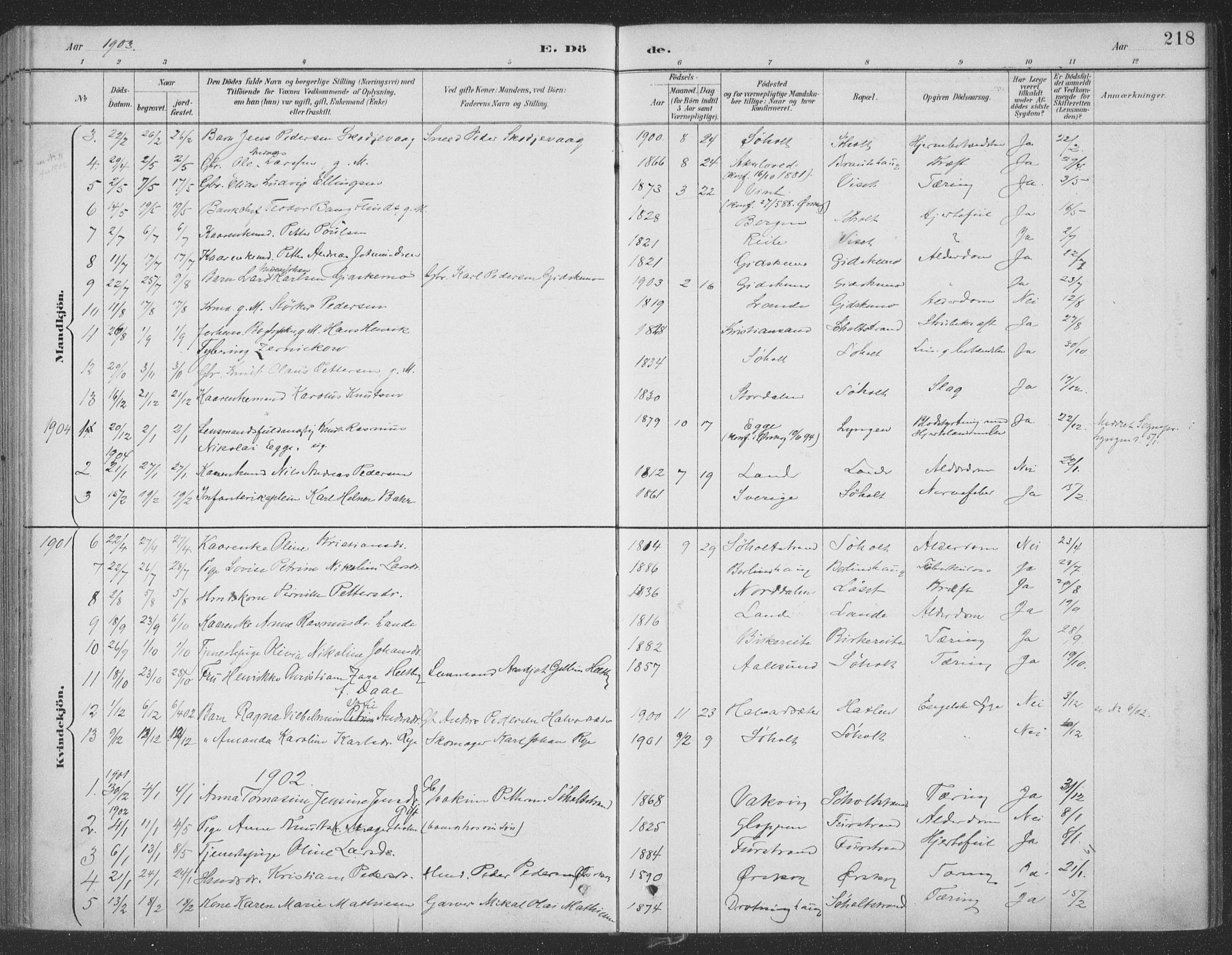 Ministerialprotokoller, klokkerbøker og fødselsregistre - Møre og Romsdal, SAT/A-1454/522/L0316: Parish register (official) no. 522A11, 1890-1911, p. 218