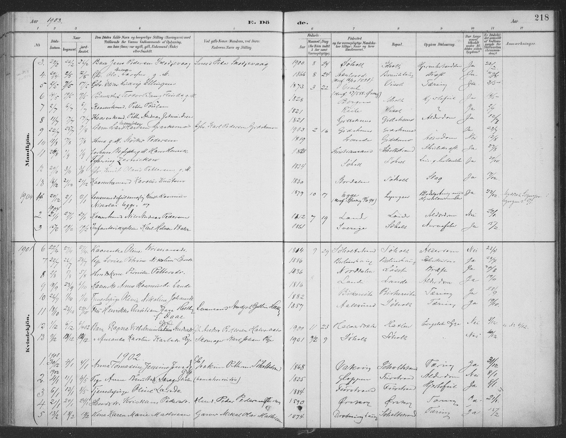 Ministerialprotokoller, klokkerbøker og fødselsregistre - Møre og Romsdal, AV/SAT-A-1454/522/L0316: Parish register (official) no. 522A11, 1890-1911, p. 218