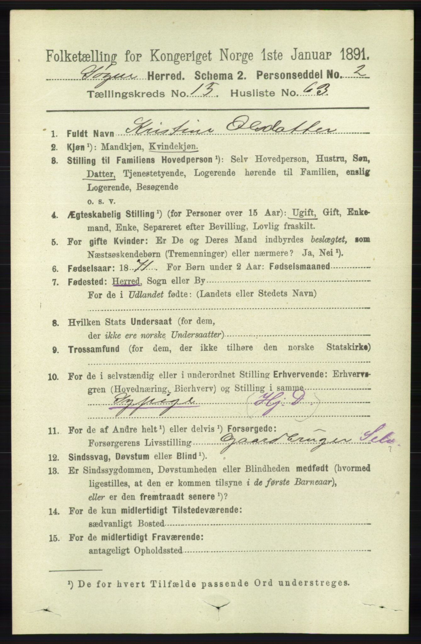 RA, 1891 census for 1018 Søgne, 1891, p. 4206