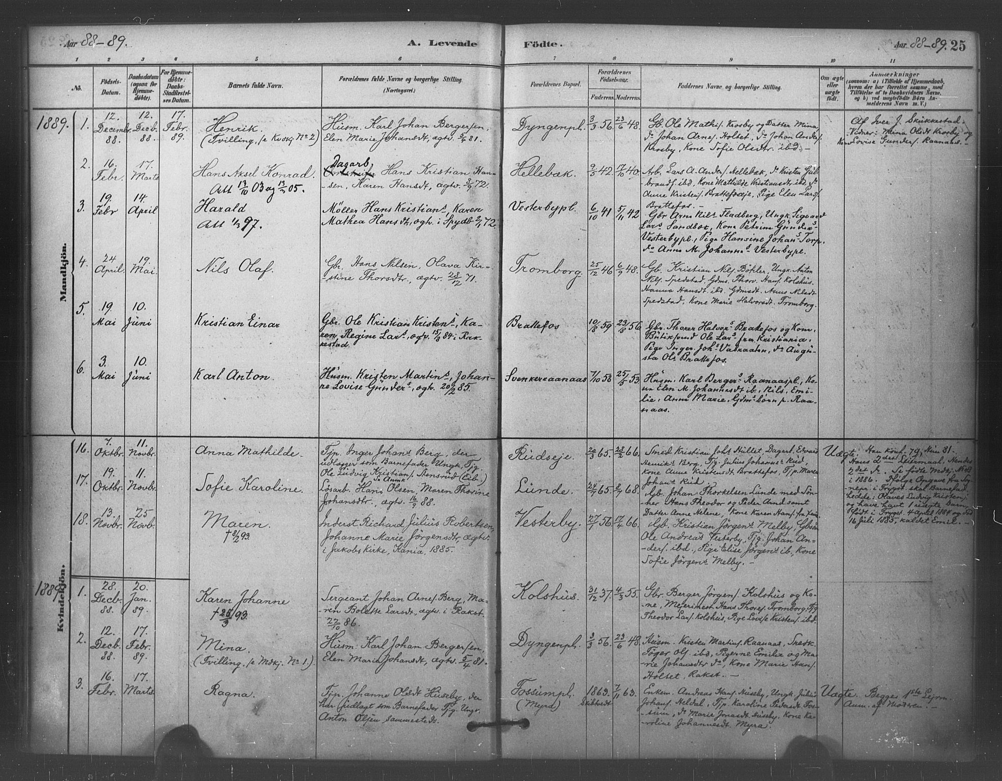 Eidsberg prestekontor Kirkebøker, AV/SAO-A-10905/F/Fc/L0001: Parish register (official) no. III 1, 1879-1905, p. 25