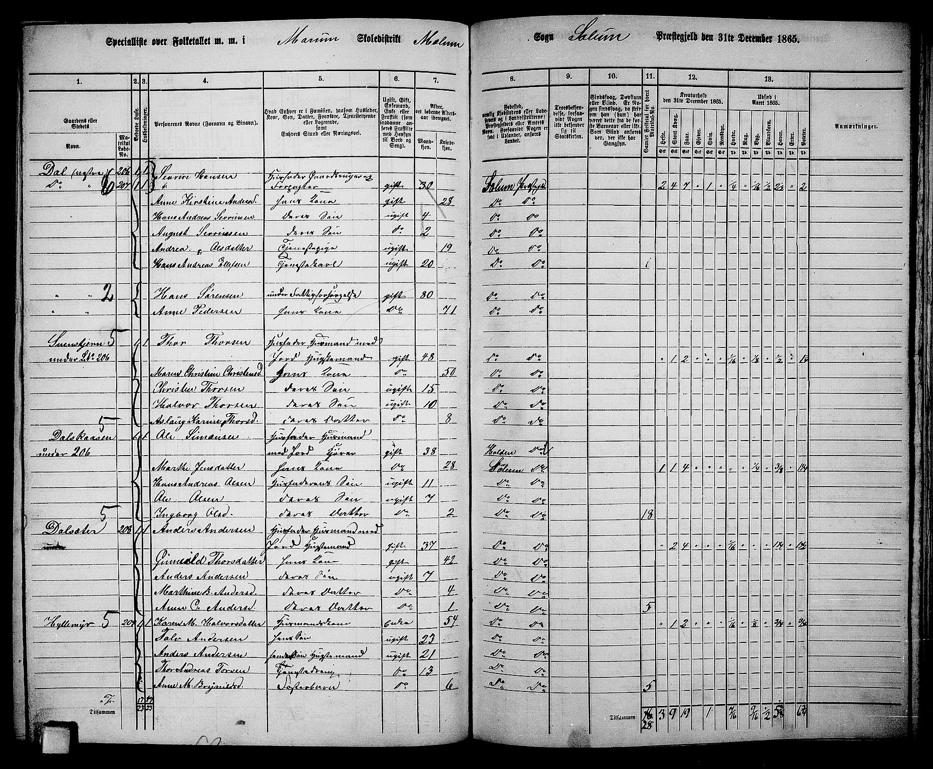 RA, 1865 census for Solum, 1865, p. 176