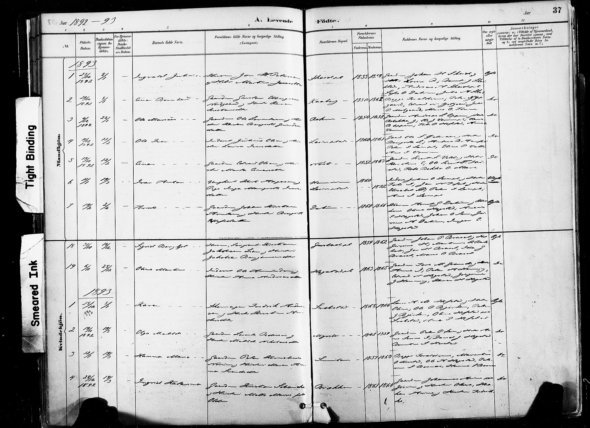 Ministerialprotokoller, klokkerbøker og fødselsregistre - Nord-Trøndelag, SAT/A-1458/735/L0351: Parish register (official) no. 735A10, 1884-1908, p. 37