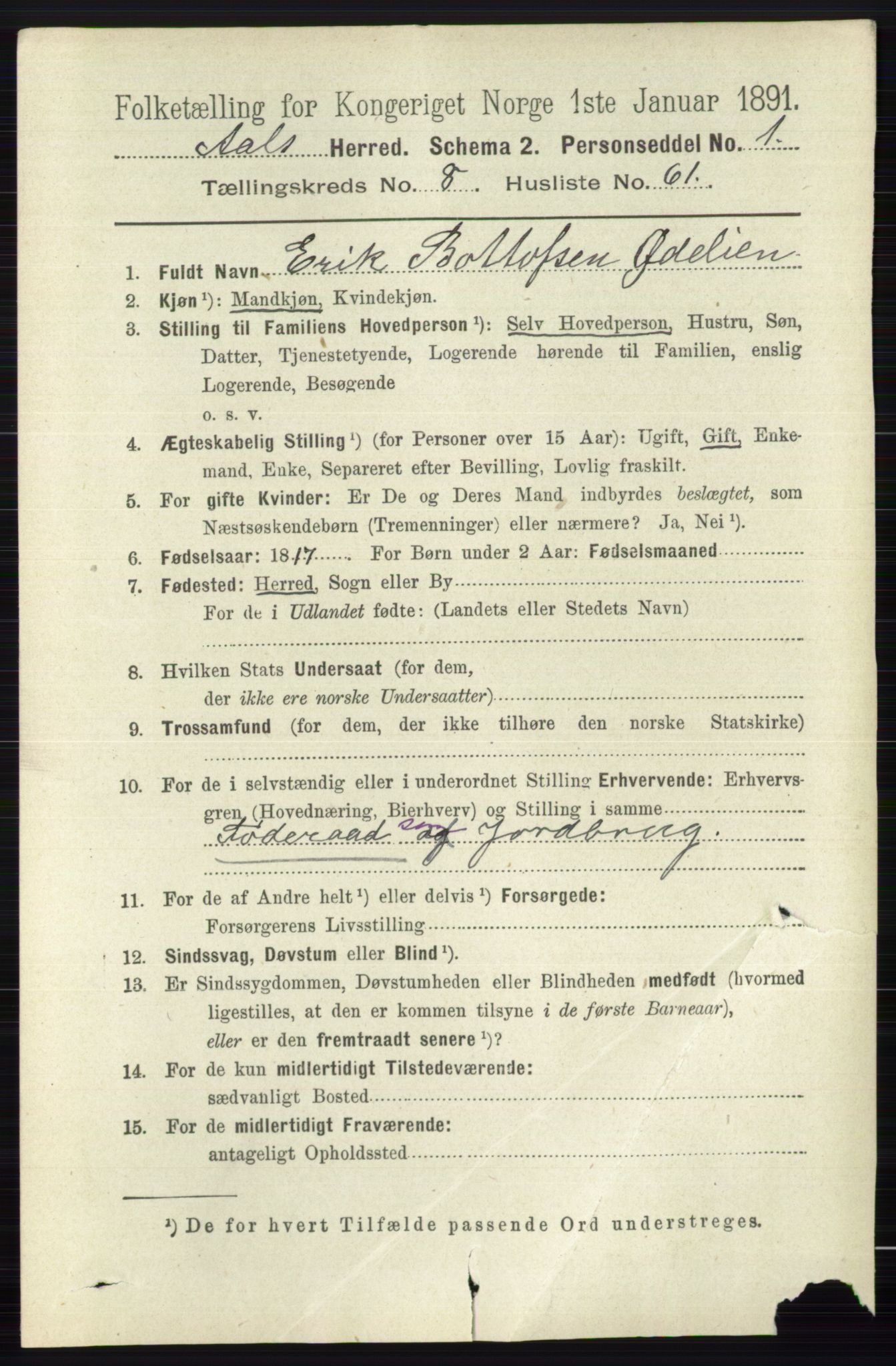 RA, 1891 census for 0619 Ål, 1891, p. 2441