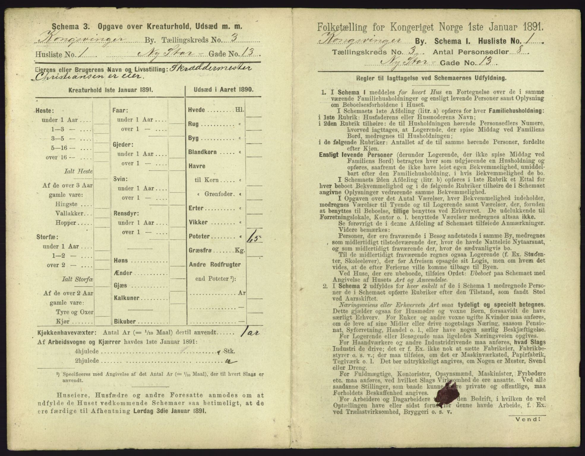 RA, 1891 census for 0402 Kongsvinger, 1891, p. 203