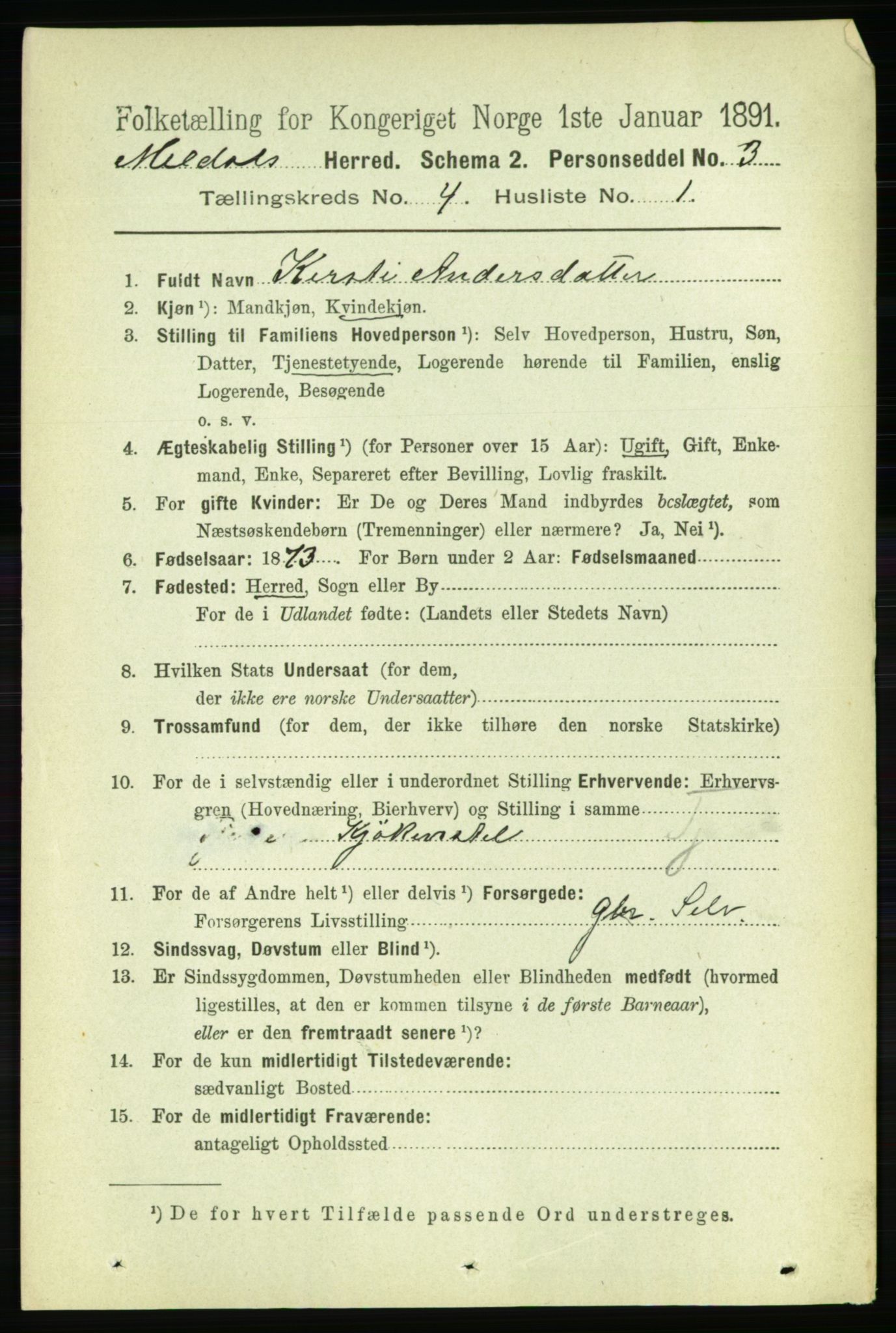 RA, 1891 census for 1636 Meldal, 1891, p. 2082