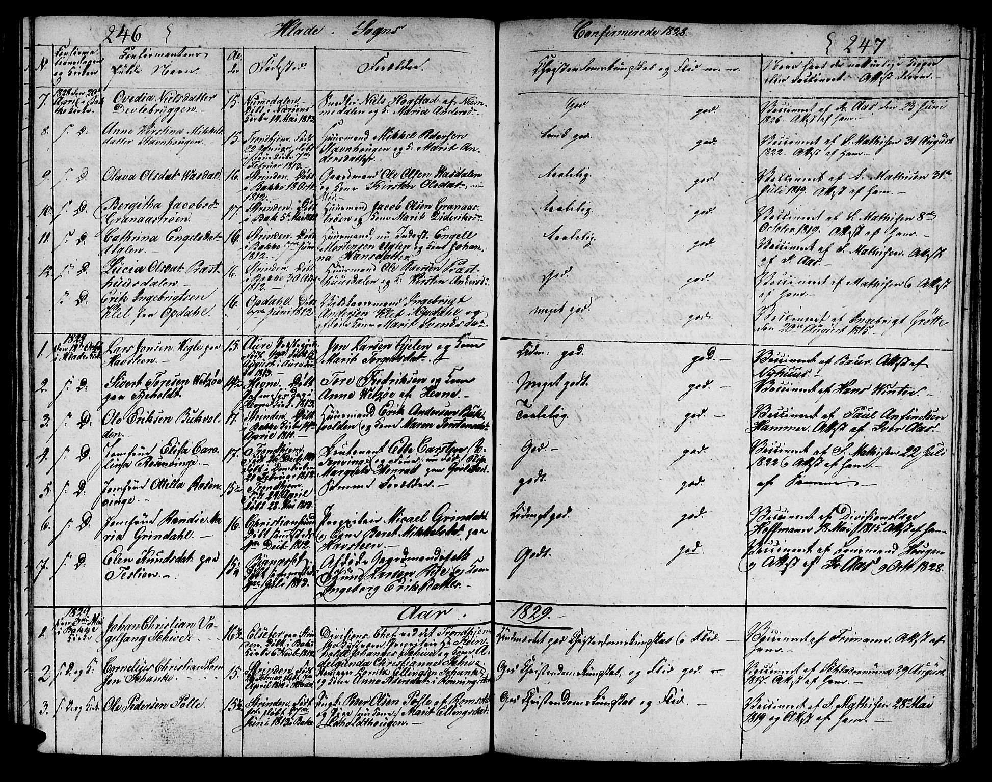Ministerialprotokoller, klokkerbøker og fødselsregistre - Sør-Trøndelag, SAT/A-1456/606/L0306: Parish register (copy) no. 606C02, 1797-1829, p. 246-247