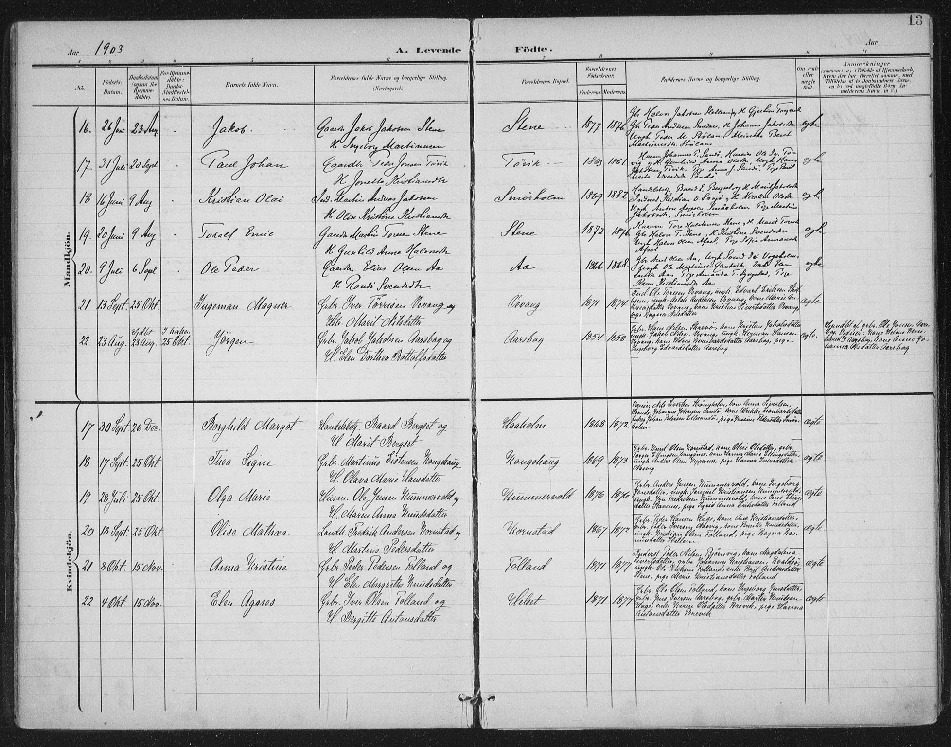 Ministerialprotokoller, klokkerbøker og fødselsregistre - Møre og Romsdal, AV/SAT-A-1454/570/L0833: Parish register (official) no. 570A07, 1901-1914, p. 13