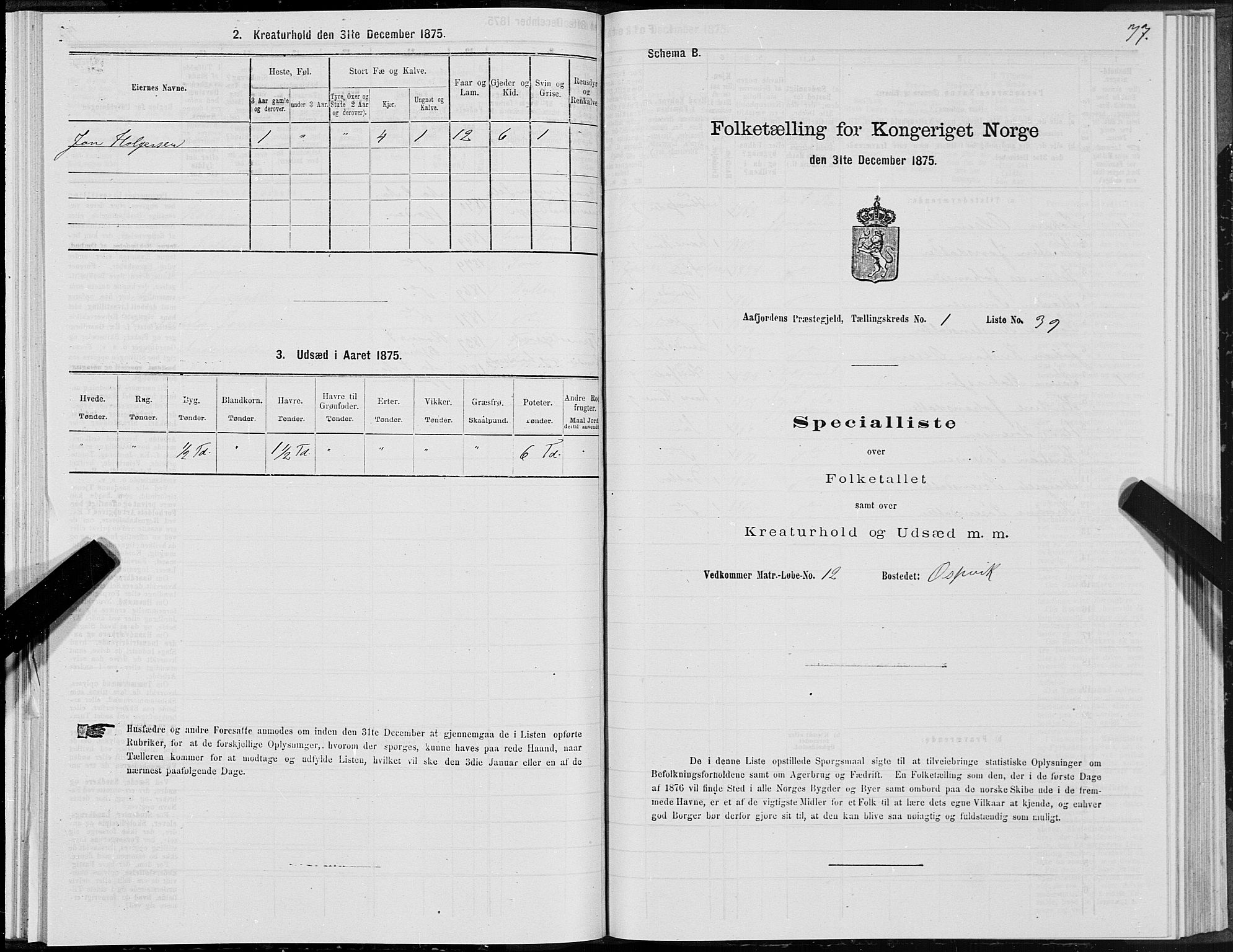 SAT, 1875 census for 1630P Aafjorden, 1875, p. 1077