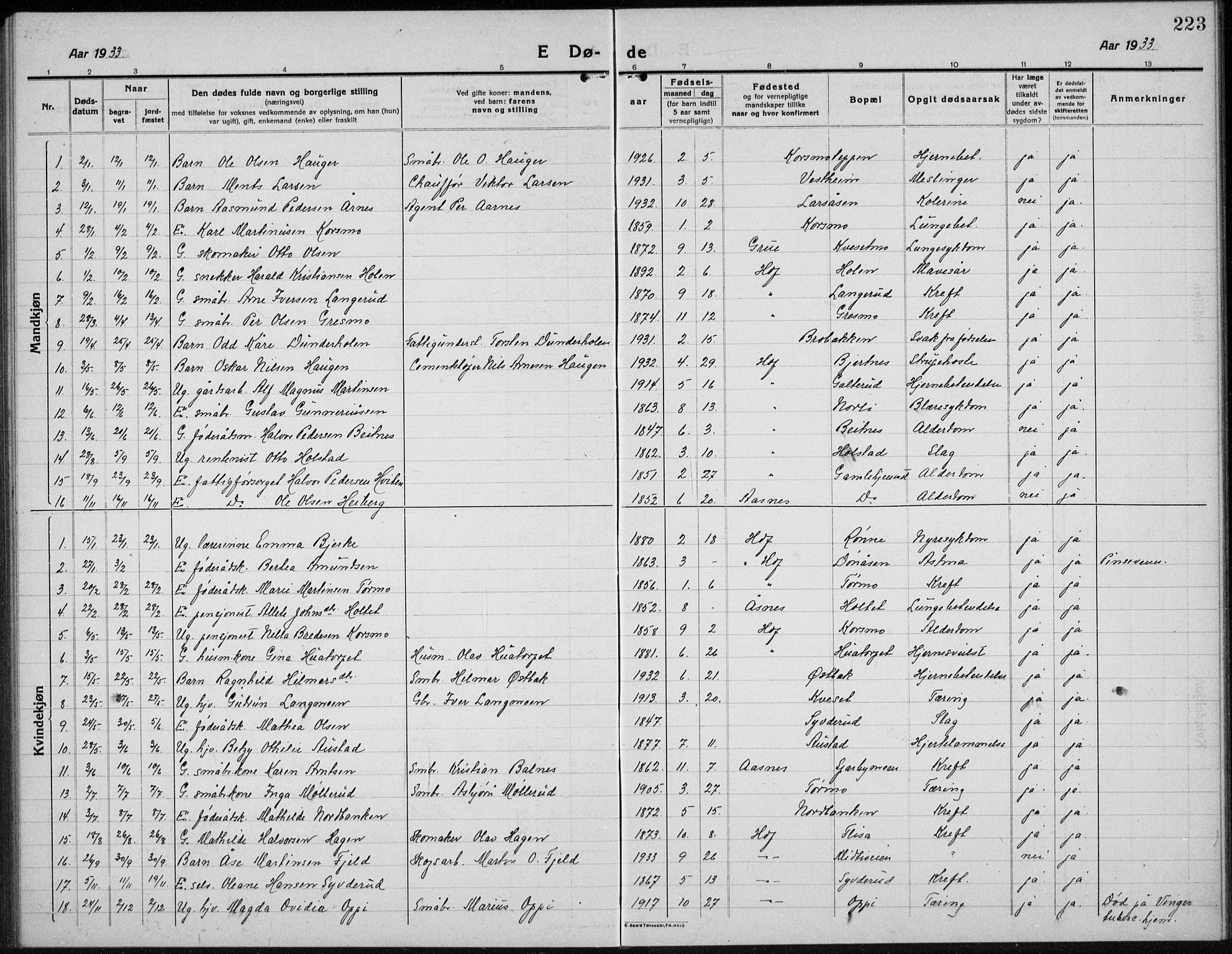 Hof prestekontor, AV/SAH-PREST-038/H/Ha/Hab/L0002: Parish register (copy) no. 2, 1915-1934, p. 223