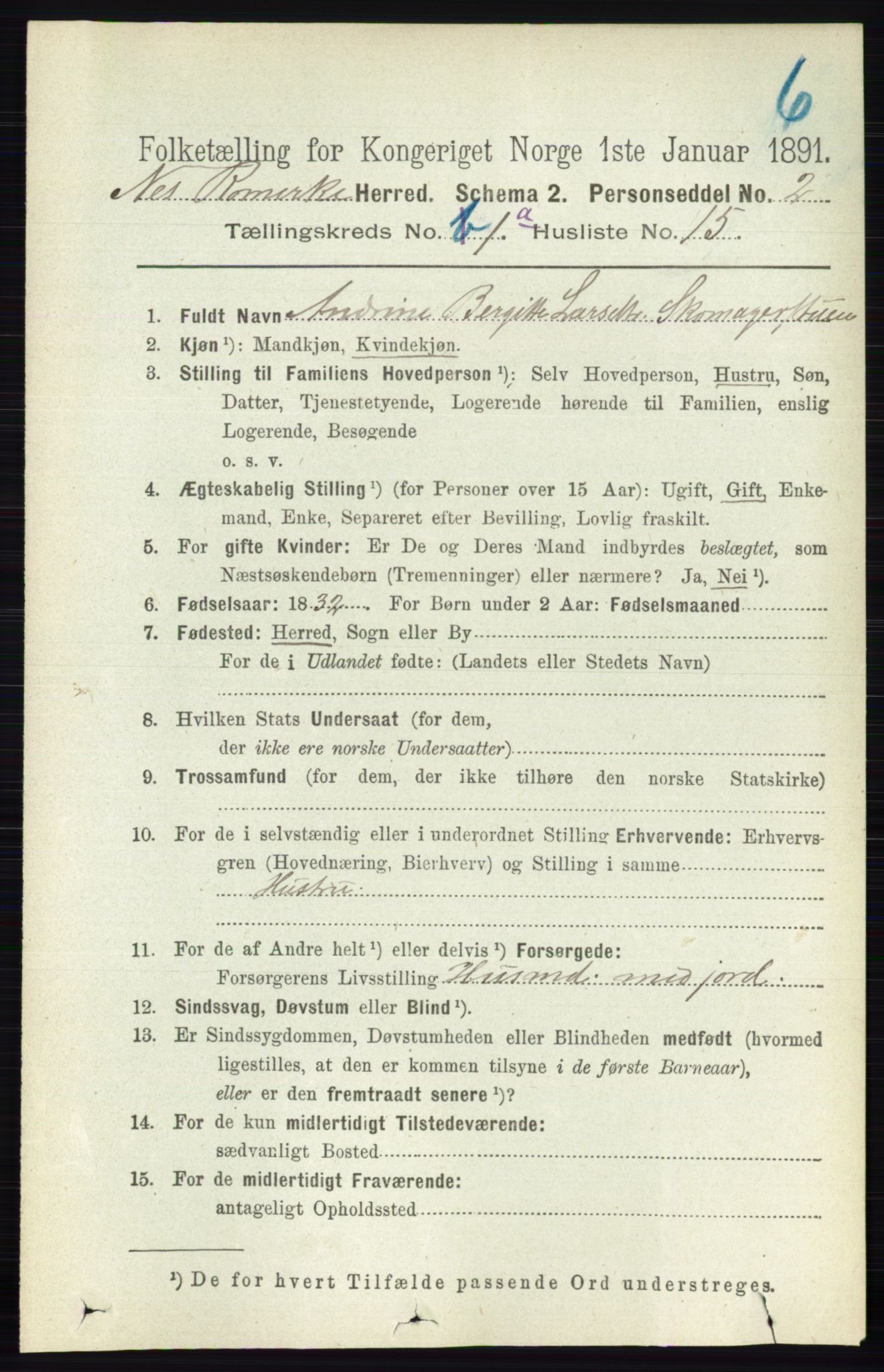 RA, 1891 census for 0236 Nes, 1891, p. 206