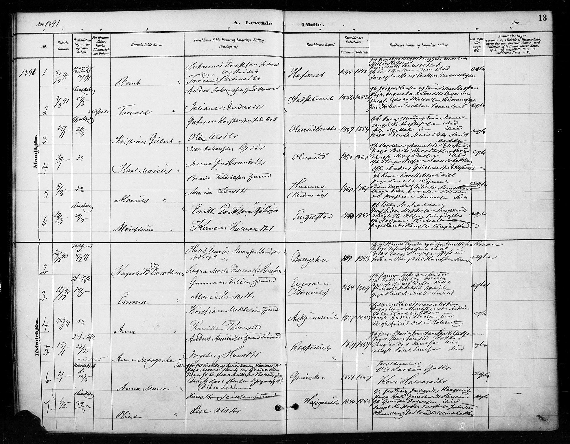 Gran prestekontor, SAH/PREST-112/H/Ha/Haa/L0018: Parish register (official) no. 18, 1889-1899, p. 13
