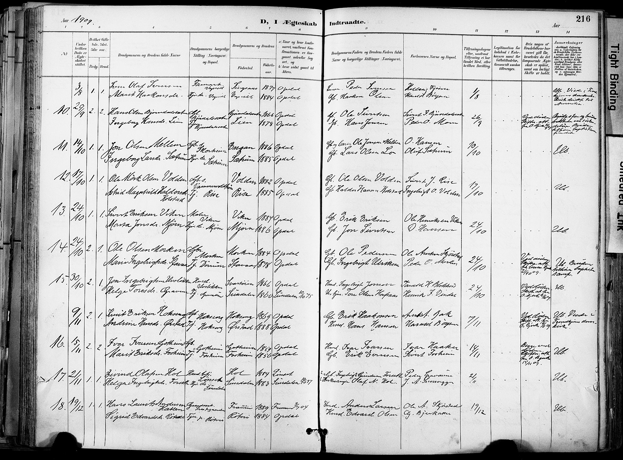 Ministerialprotokoller, klokkerbøker og fødselsregistre - Sør-Trøndelag, AV/SAT-A-1456/678/L0902: Parish register (official) no. 678A11, 1895-1911, p. 216