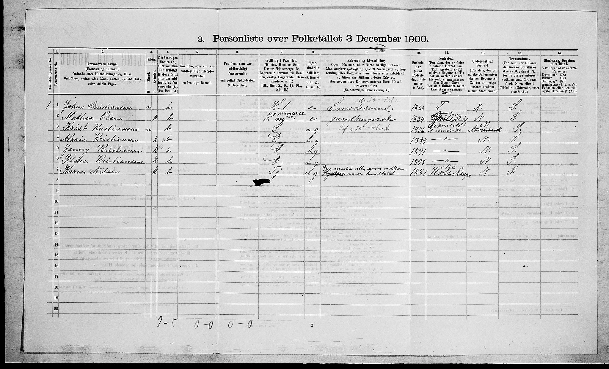 RA, 1900 census for Lier, 1900, p. 213