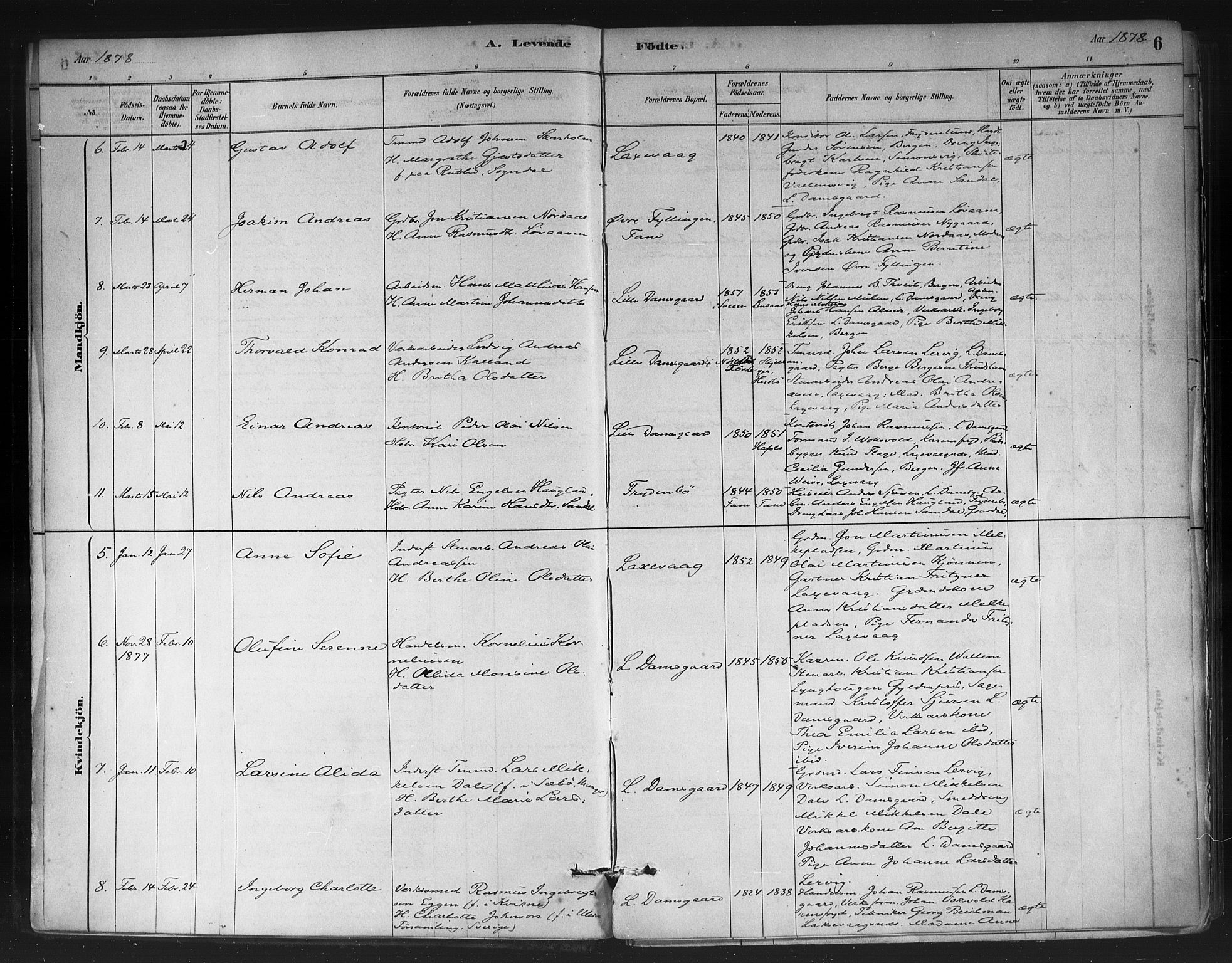 Askøy Sokneprestembete, SAB/A-74101/H/Ha/Haa/Haae/L0002: Parish register (official) no. E 2, 1878-1891, p. 6