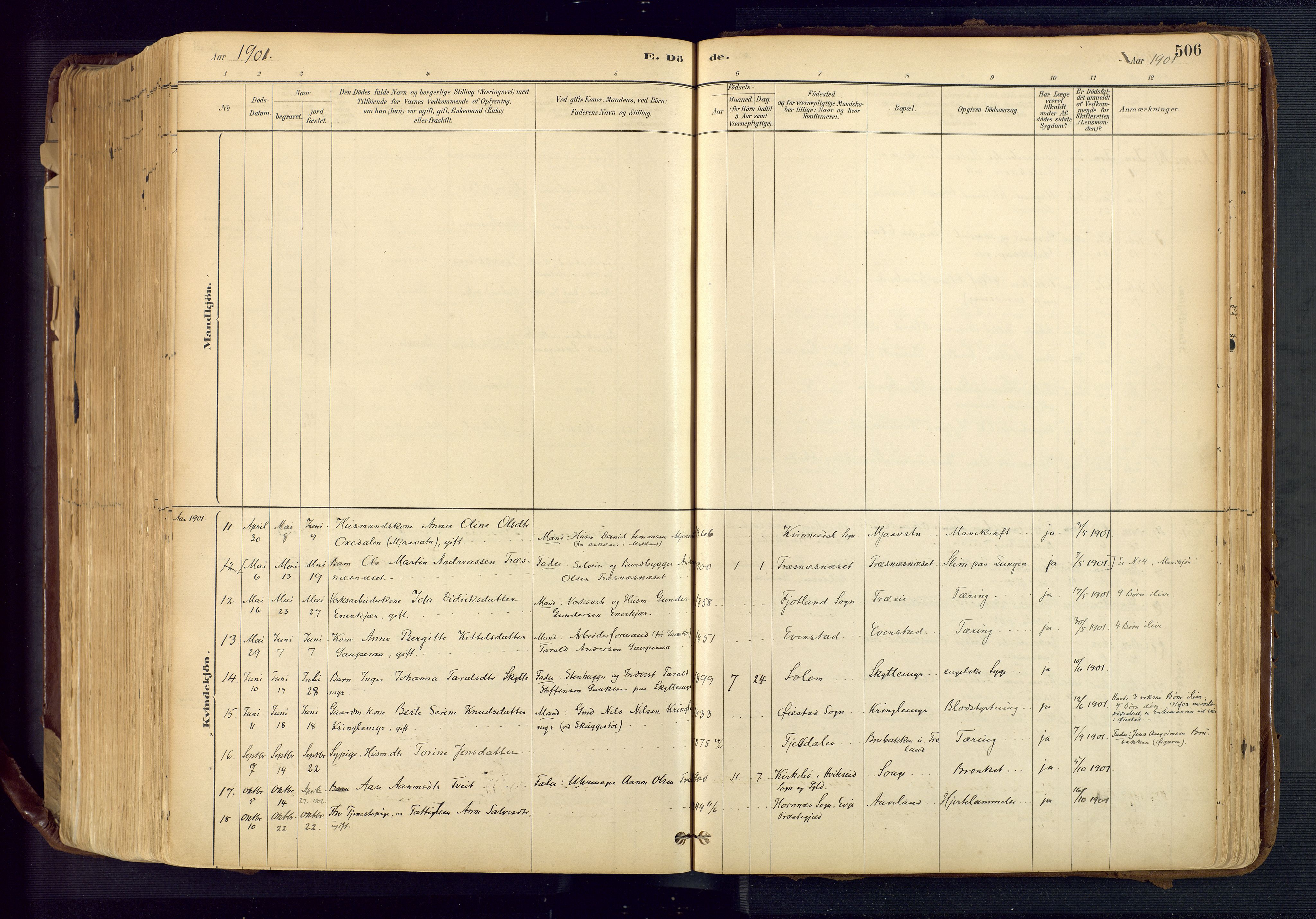 Froland sokneprestkontor, AV/SAK-1111-0013/F/Fa/L0005: Parish register (official) no. A 5, 1882-1921, p. 506