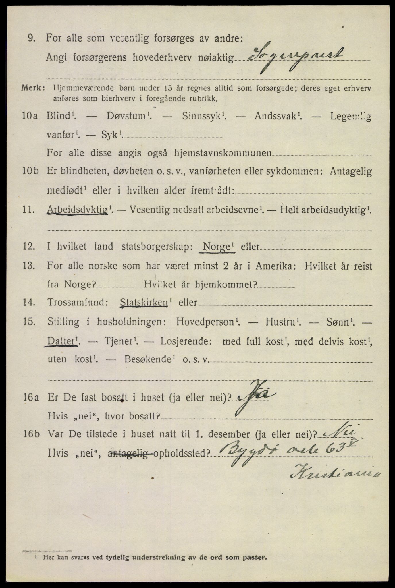 SAKO, 1920 census for Nore, 1920, p. 1463