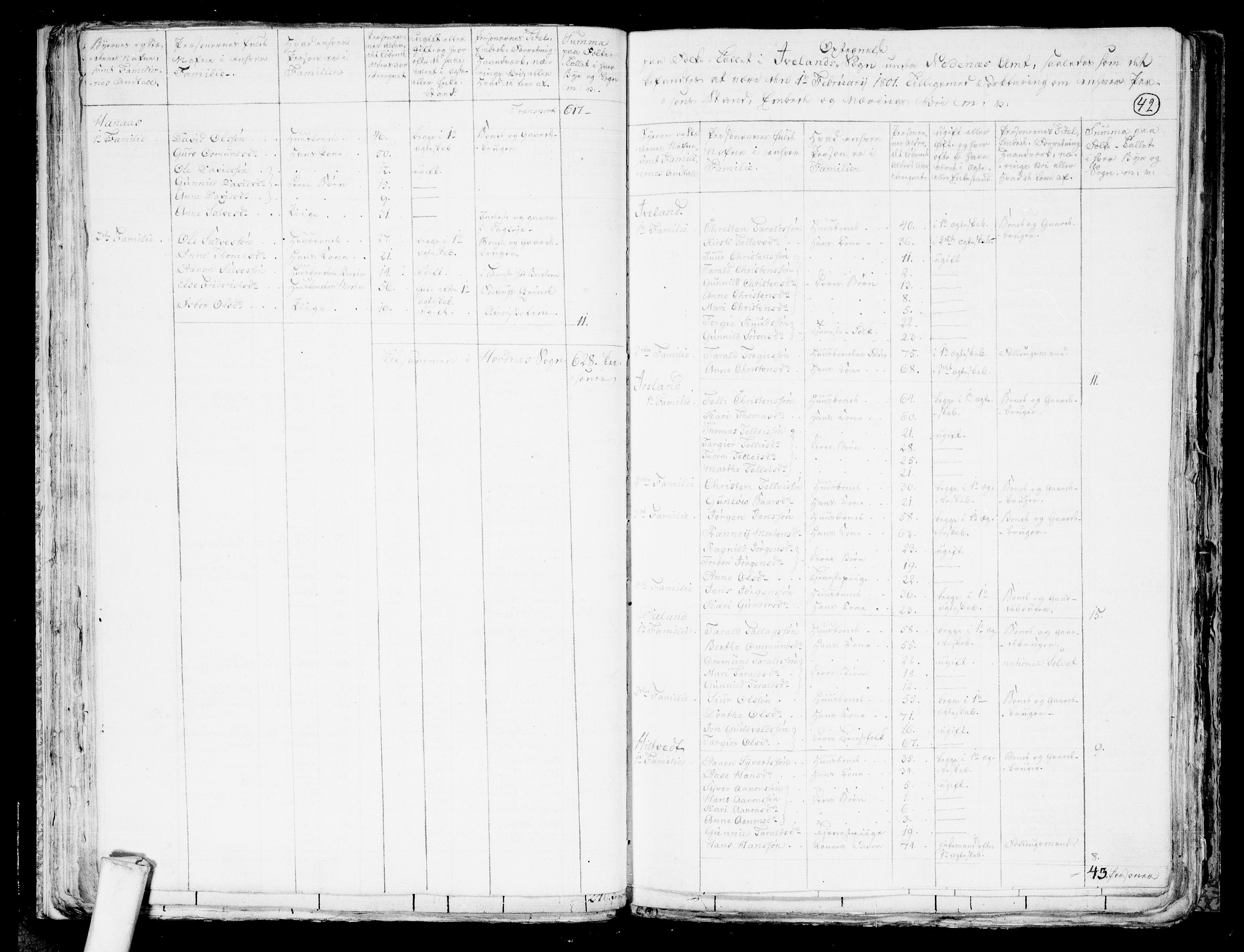 RA, 1801 census for 0934P Evje, 1801, p. 41b-42a