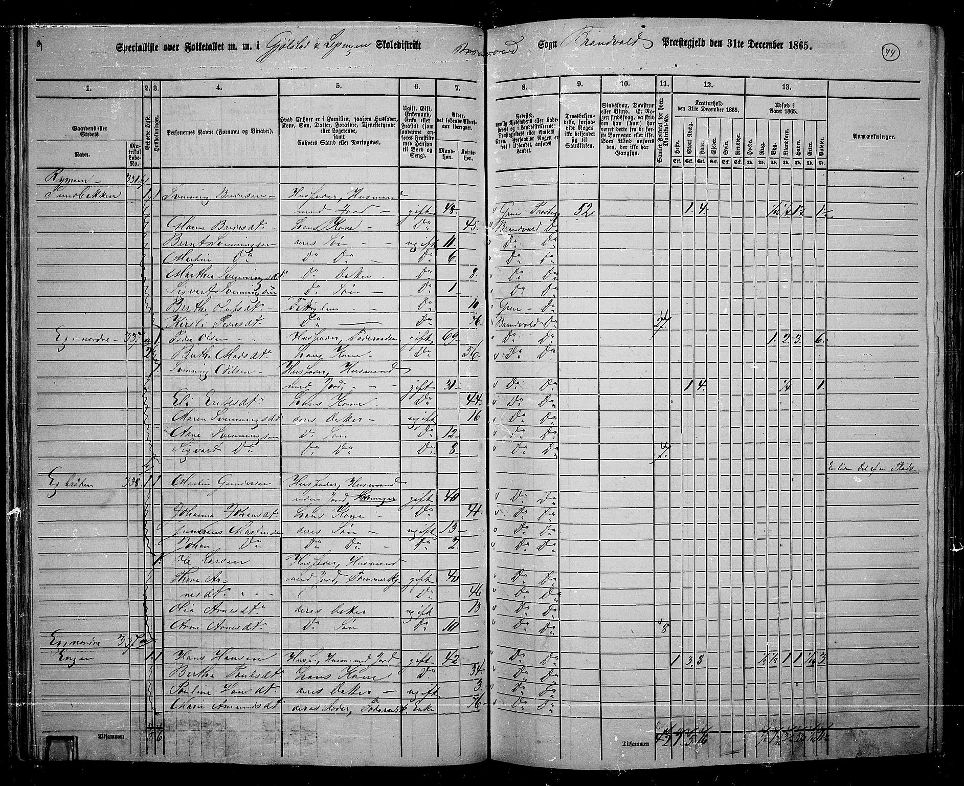 RA, 1865 census for Brandval, 1865, p. 65