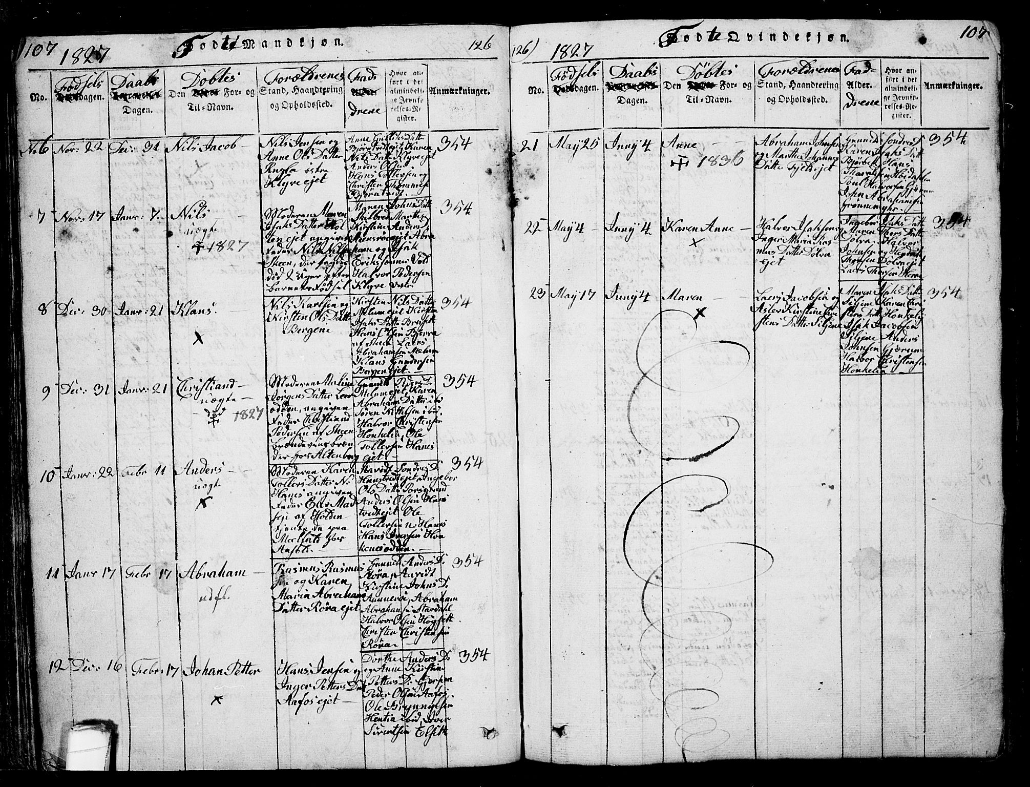 Solum kirkebøker, AV/SAKO-A-306/G/Ga/L0001: Parish register (copy) no. I 1, 1814-1833, p. 107