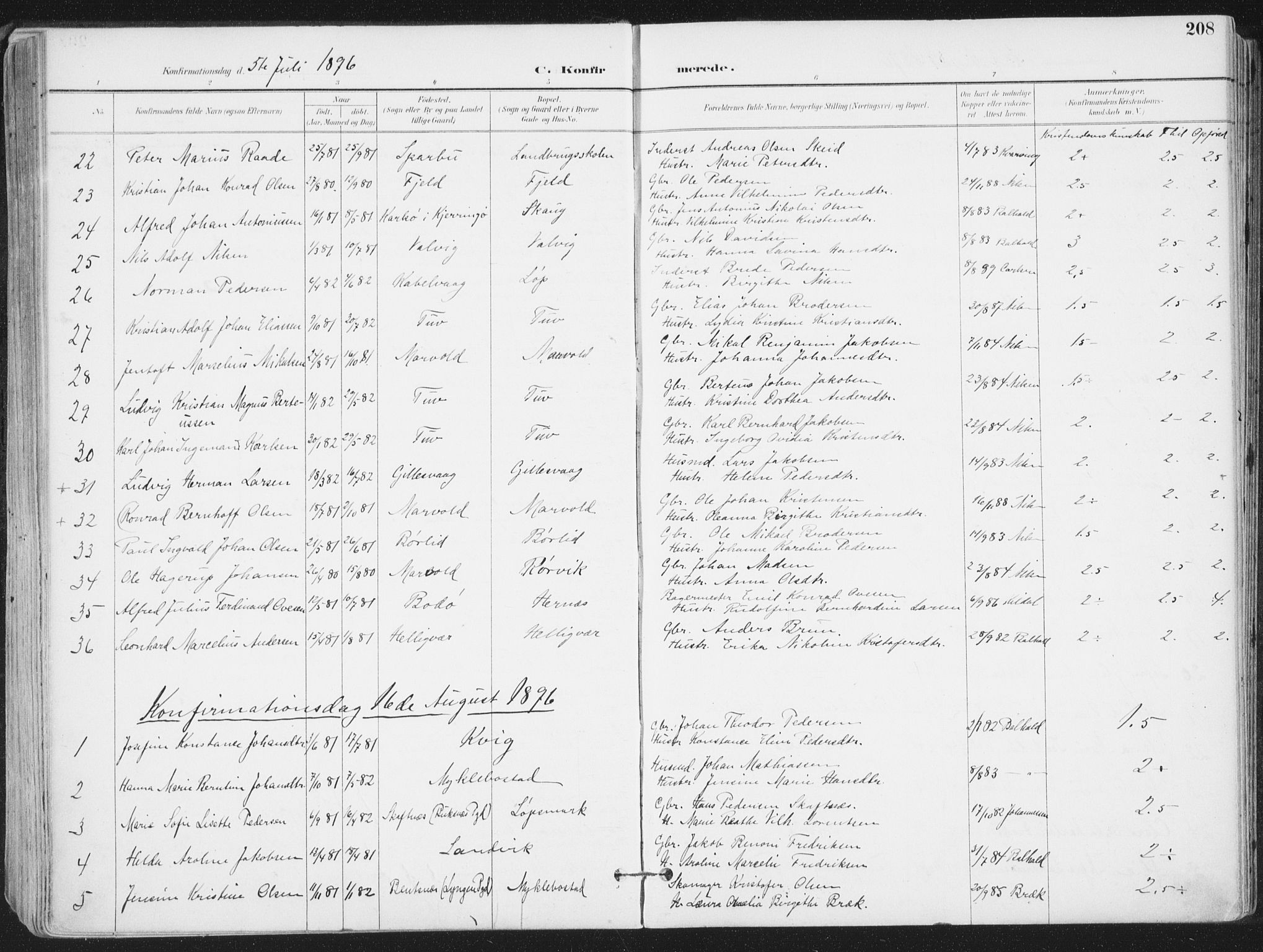 Ministerialprotokoller, klokkerbøker og fødselsregistre - Nordland, AV/SAT-A-1459/802/L0055: Parish register (official) no. 802A02, 1894-1915, p. 208