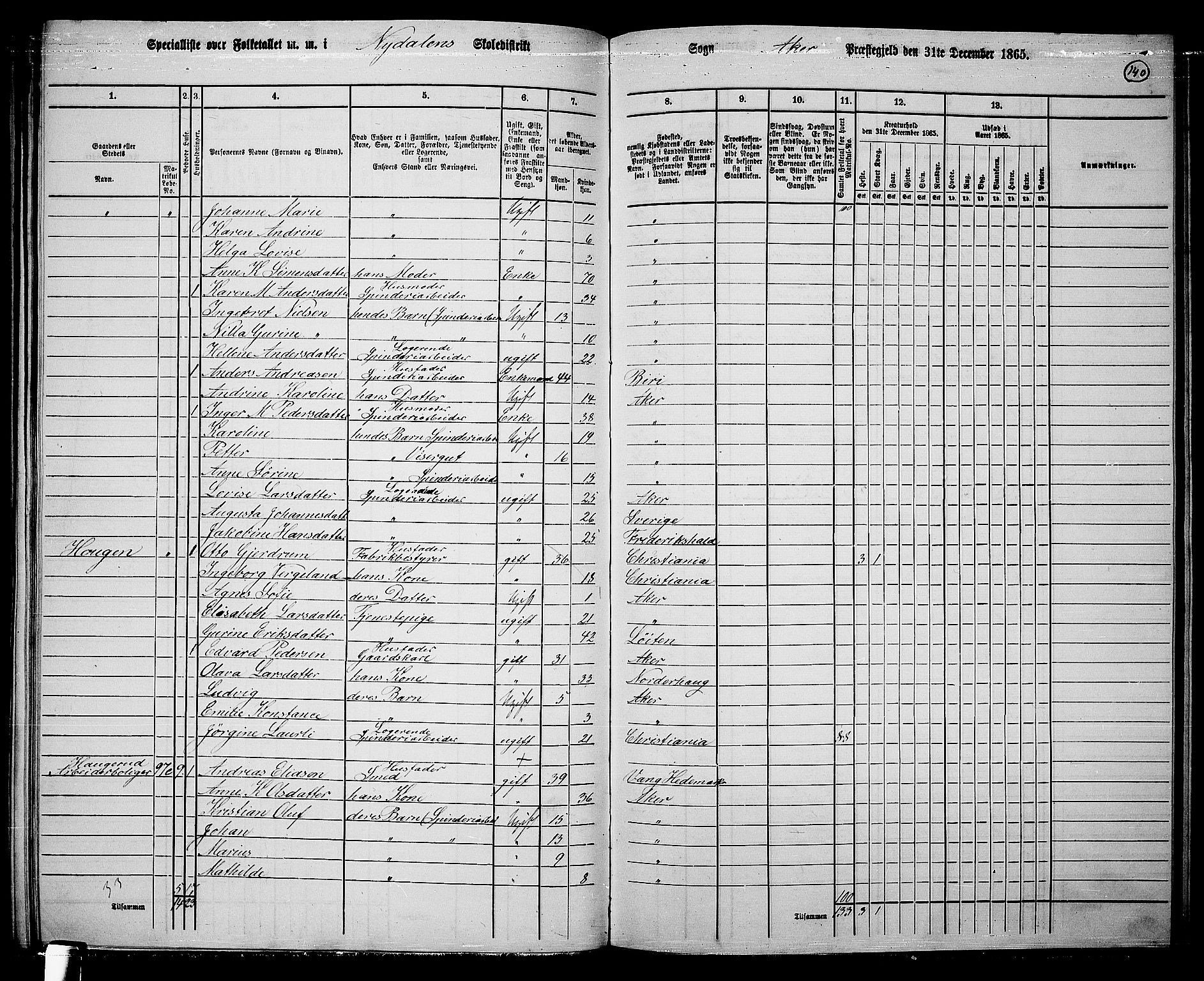 RA, 1865 census for Vestre Aker, 1865, p. 123