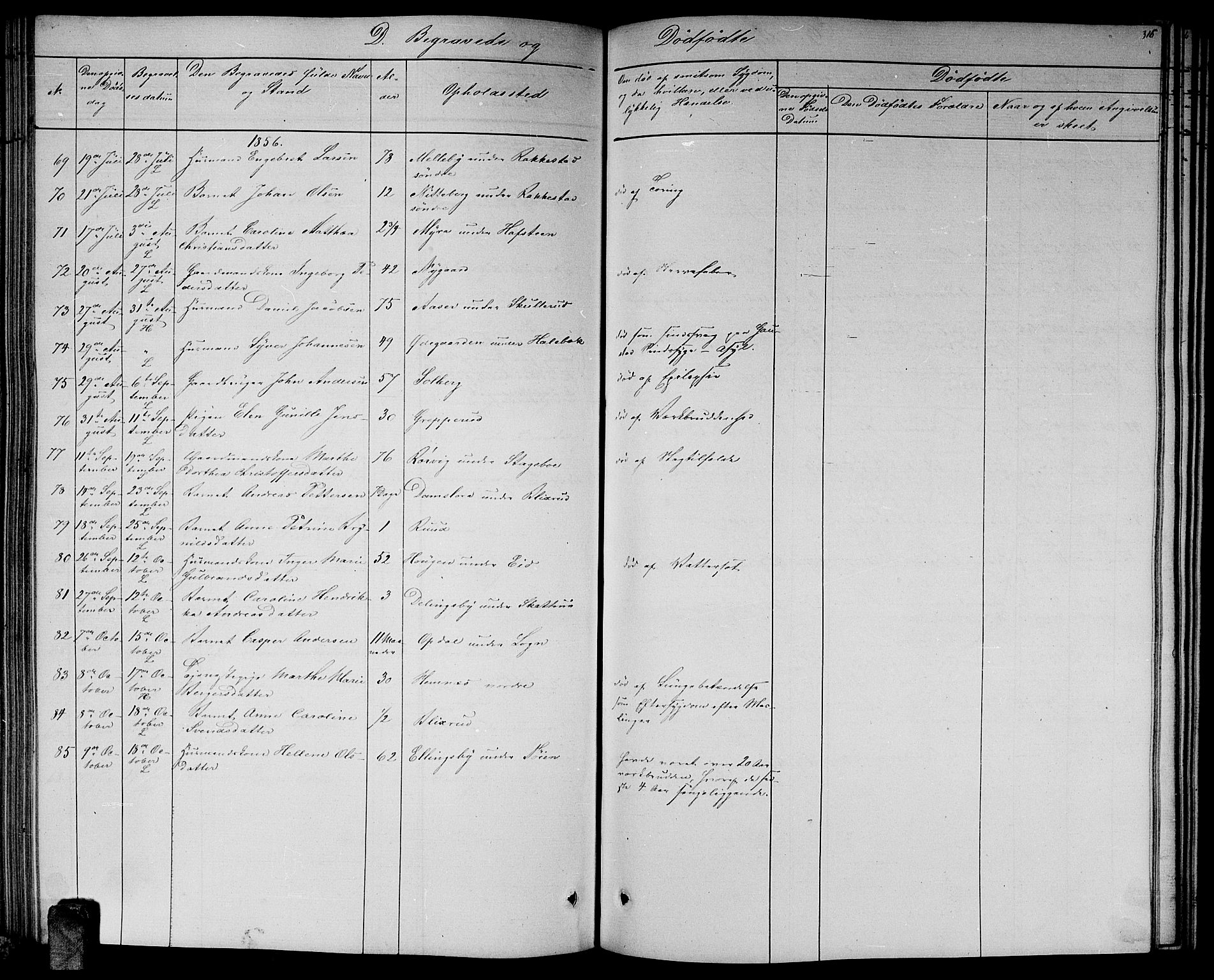 Høland prestekontor Kirkebøker, SAO/A-10346a/G/Ga/L0004: Parish register (copy) no. I 4, 1854-1862, p. 316
