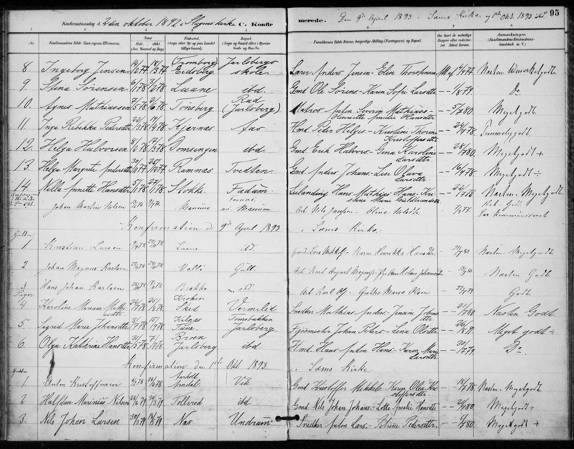 Sem kirkebøker, AV/SAKO-A-5/F/Fa/L0011: Parish register (official) no. I 11, 1888-1904, p. 95