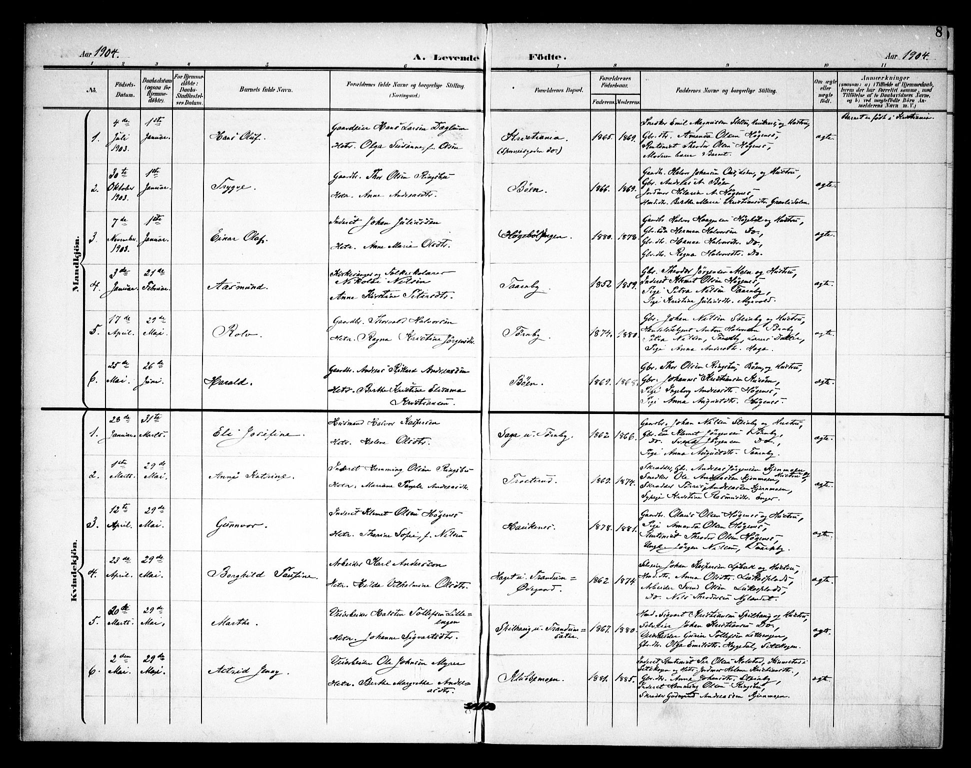 Rødenes prestekontor Kirkebøker, AV/SAO-A-2005/F/Fb/L0003: Parish register (official) no. II 3, 1901-1910, p. 8