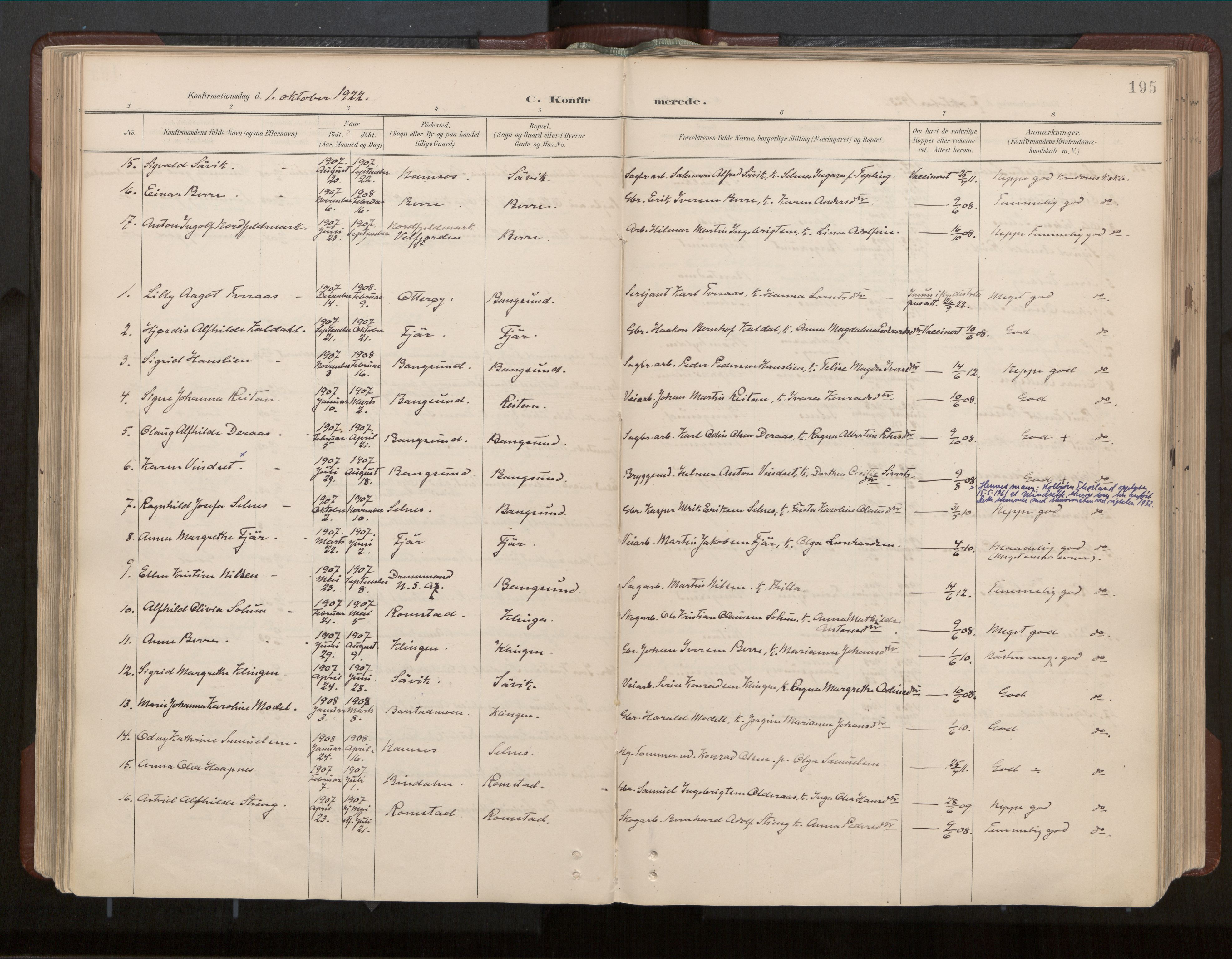 Ministerialprotokoller, klokkerbøker og fødselsregistre - Nord-Trøndelag, AV/SAT-A-1458/770/L0589: Parish register (official) no. 770A03, 1887-1929, p. 195