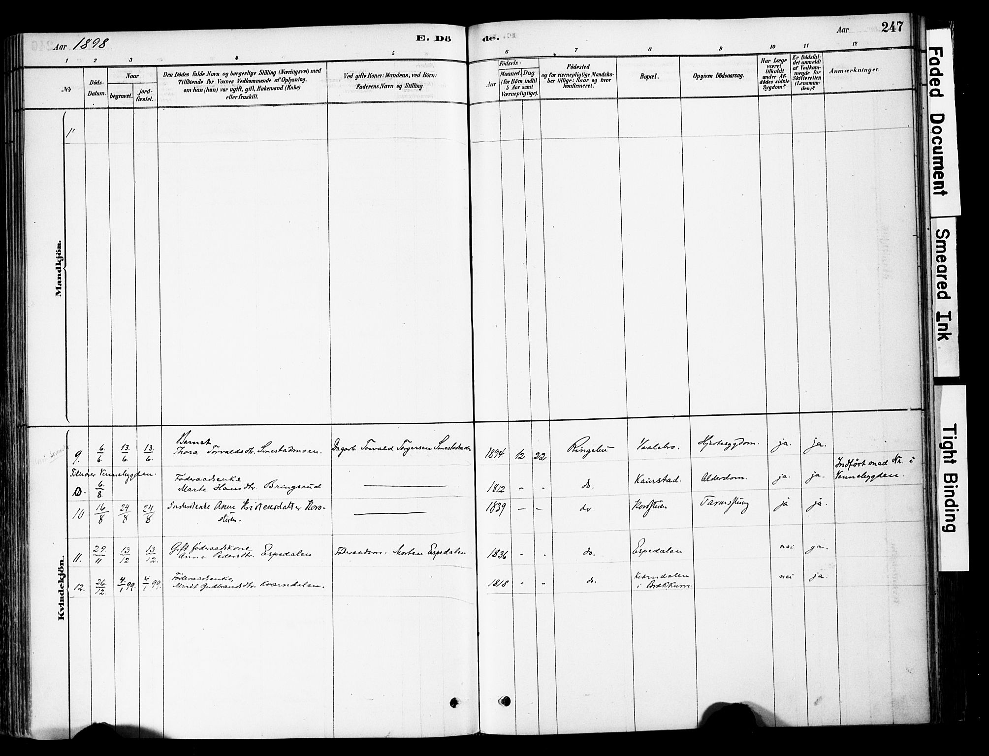 Ringebu prestekontor, AV/SAH-PREST-082/H/Ha/Haa/L0008: Parish register (official) no. 8, 1878-1898, p. 247