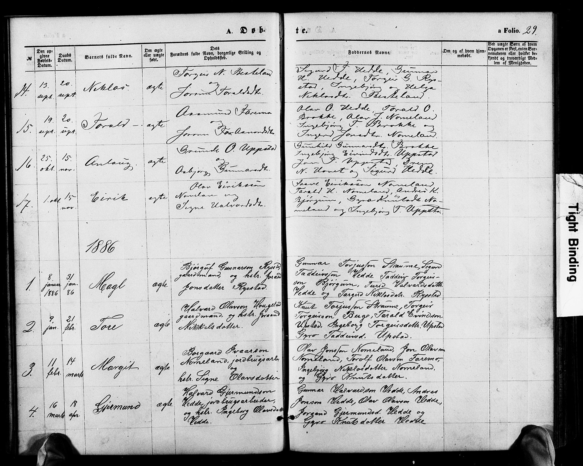 Valle sokneprestkontor, SAK/1111-0044/F/Fb/Fbb/L0002: Parish register (copy) no. B 2, 1875-1921, p. 29