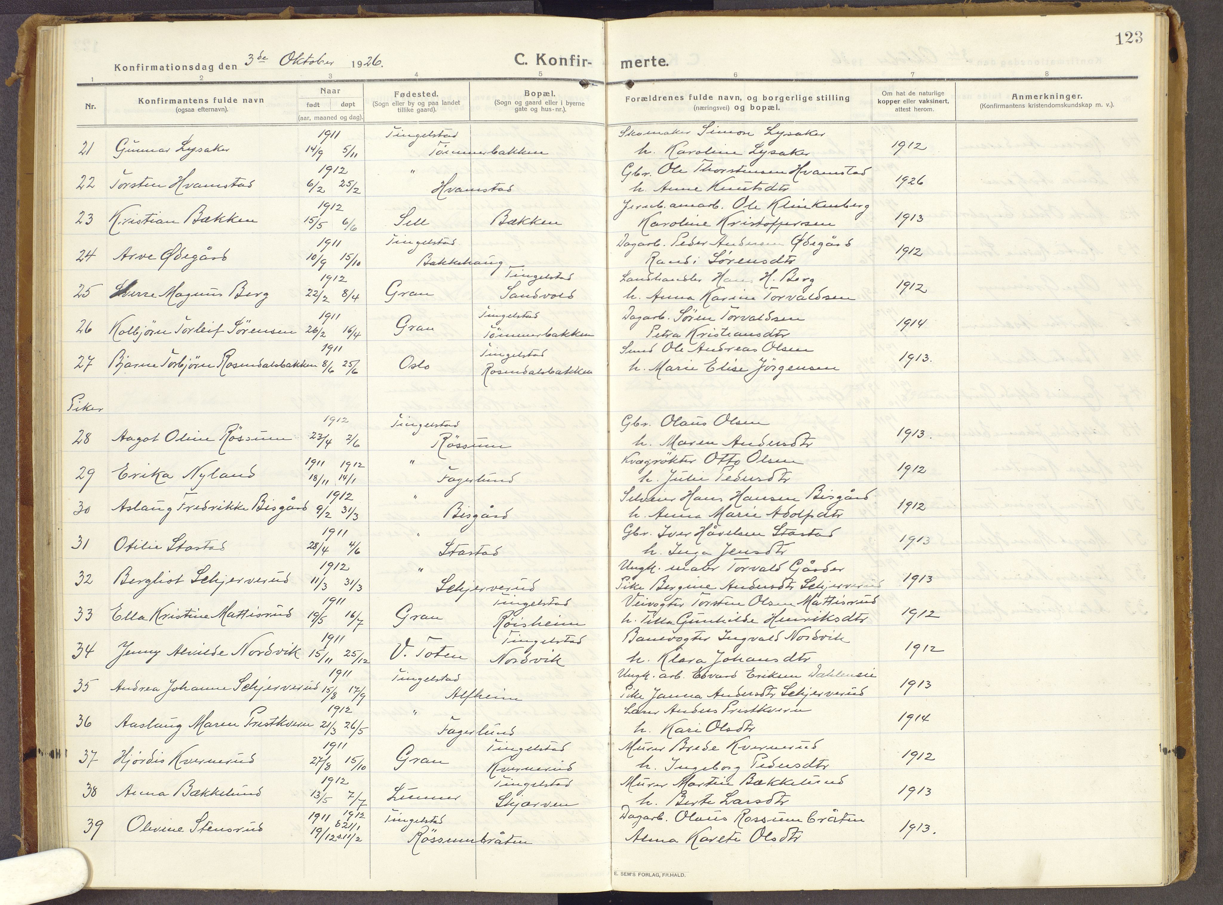 Brandbu prestekontor, AV/SAH-PREST-114/H/Ha/Haa/L0003: Parish register (official) no. 3, 1914-1928, p. 123