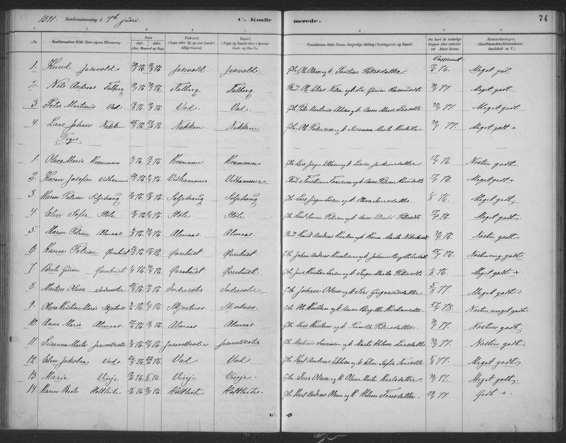 Ministerialprotokoller, klokkerbøker og fødselsregistre - Møre og Romsdal, SAT/A-1454/521/L0299: Parish register (official) no. 521A01, 1882-1907, p. 74