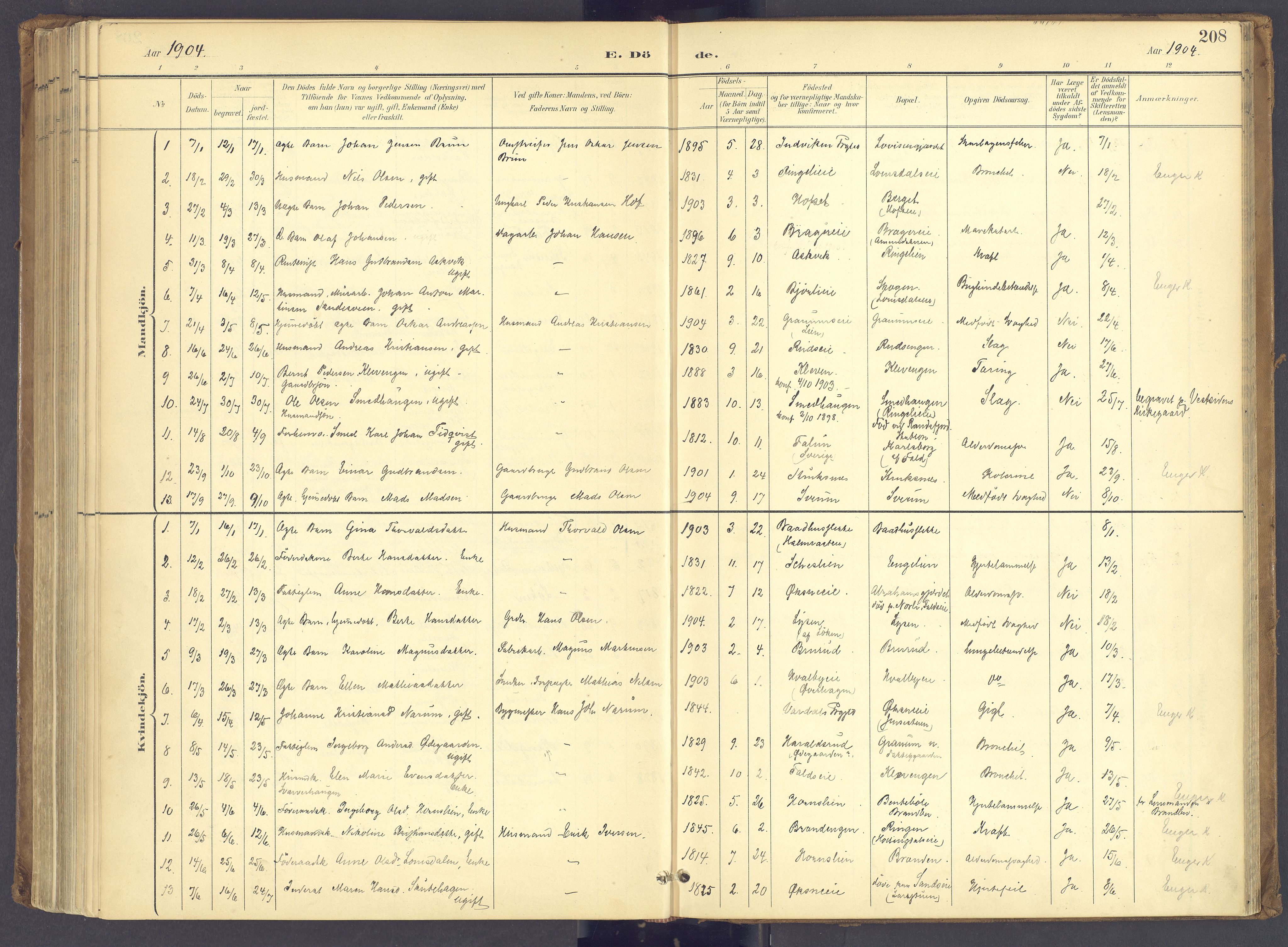 Søndre Land prestekontor, SAH/PREST-122/K/L0006: Parish register (official) no. 6, 1895-1904, p. 208