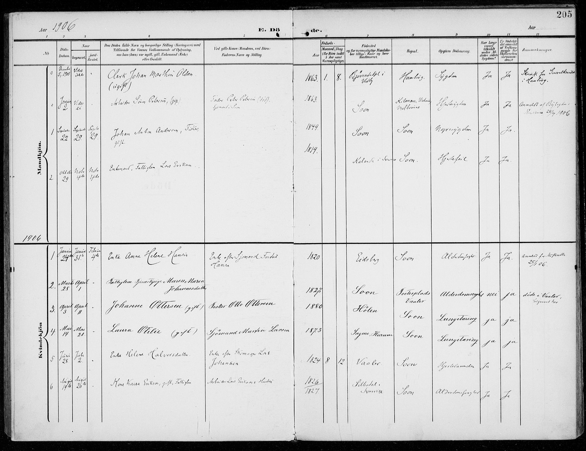 Vestby prestekontor Kirkebøker, SAO/A-10893/F/Fc/L0002: Parish register (official) no. III 2, 1906-1940, p. 205