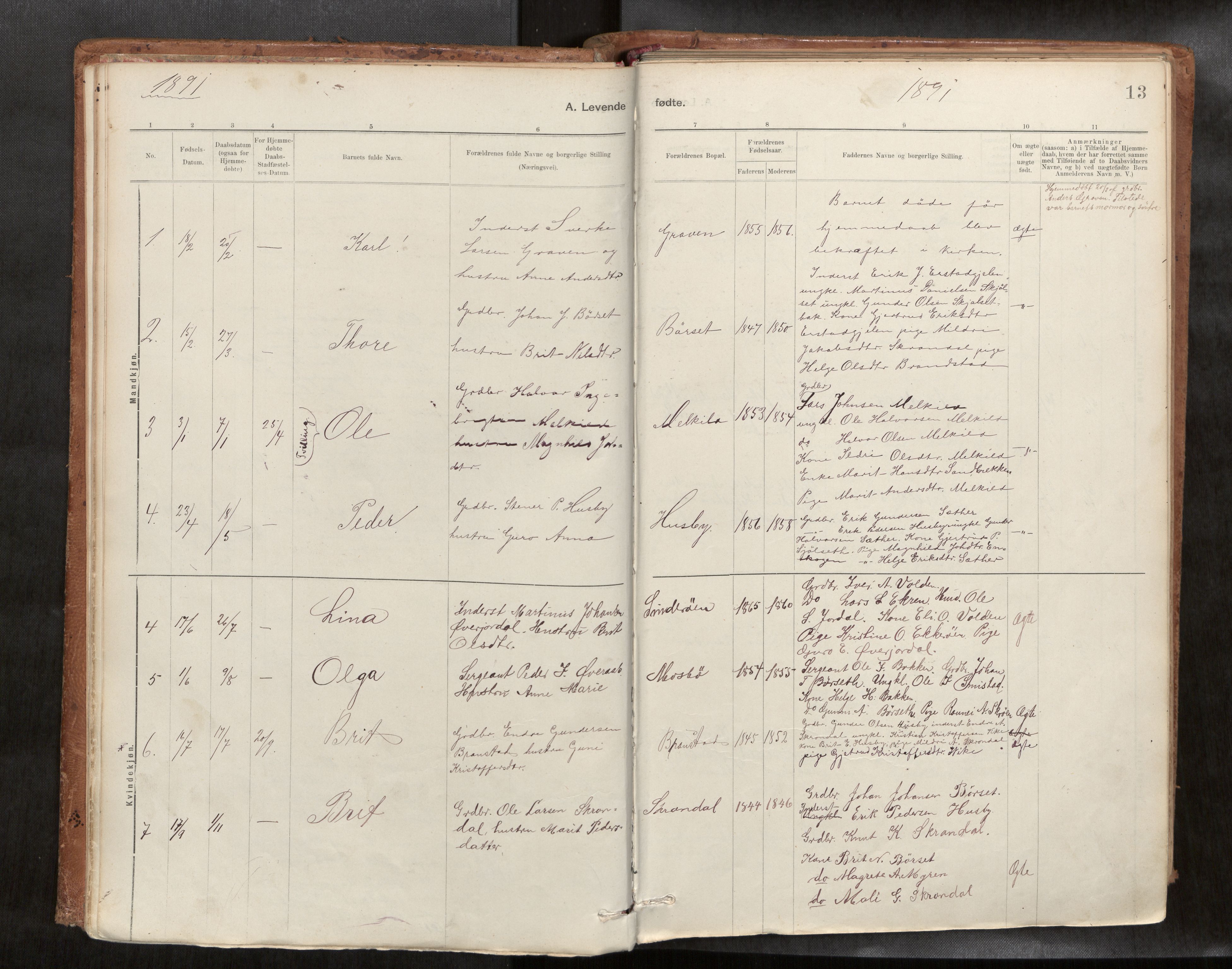 Ministerialprotokoller, klokkerbøker og fødselsregistre - Møre og Romsdal, AV/SAT-A-1454/588/L1006: Parish register (official) no. 588A03, 1886-1912, p. 13