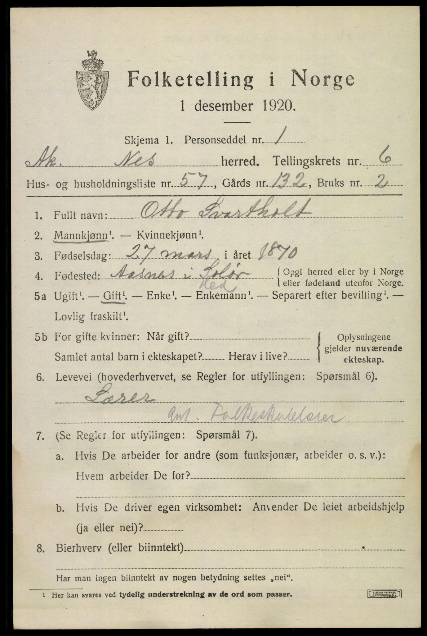 SAO, 1920 census for Nes, 1920, p. 8306