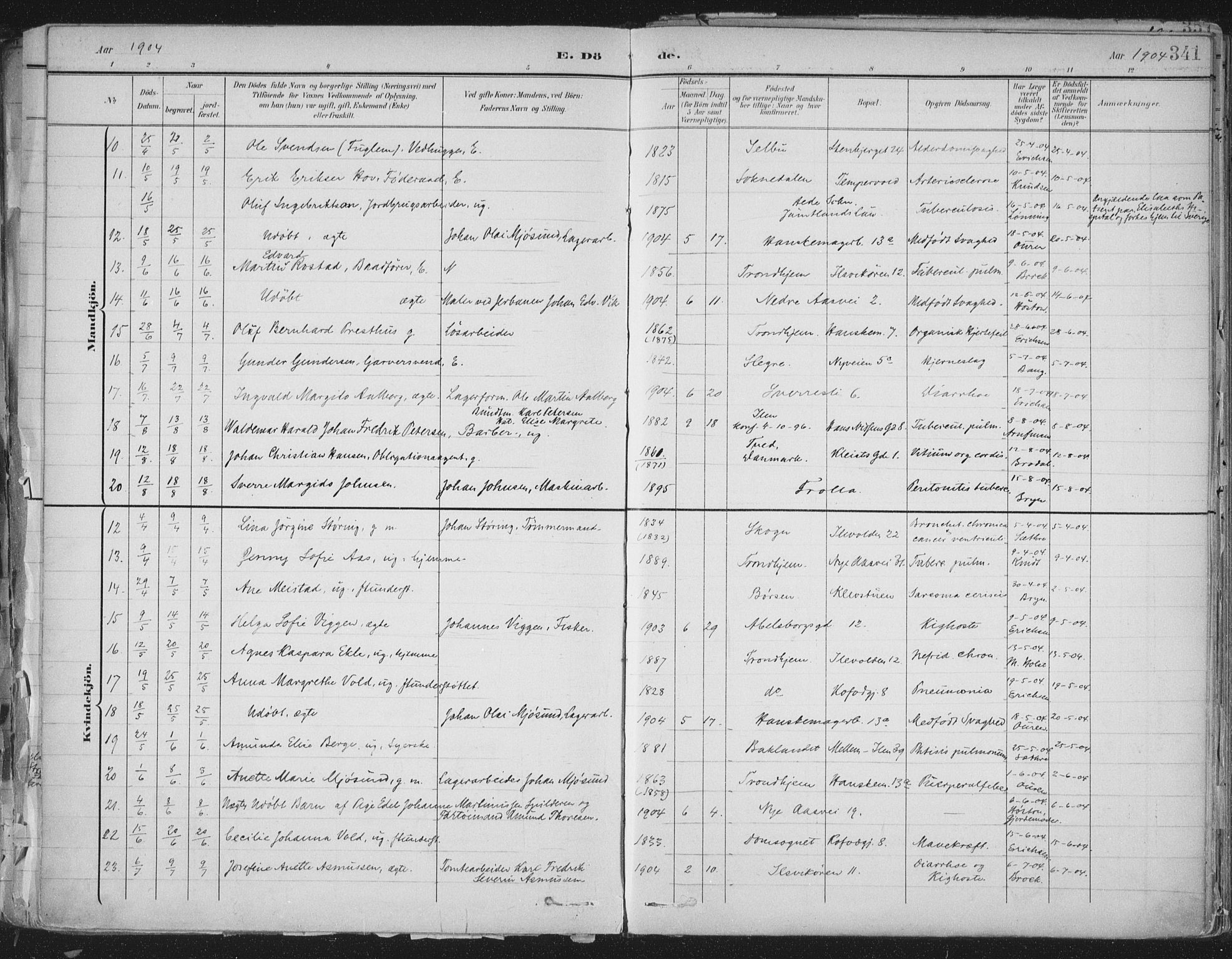 Ministerialprotokoller, klokkerbøker og fødselsregistre - Sør-Trøndelag, SAT/A-1456/603/L0167: Parish register (official) no. 603A06, 1896-1932, p. 341