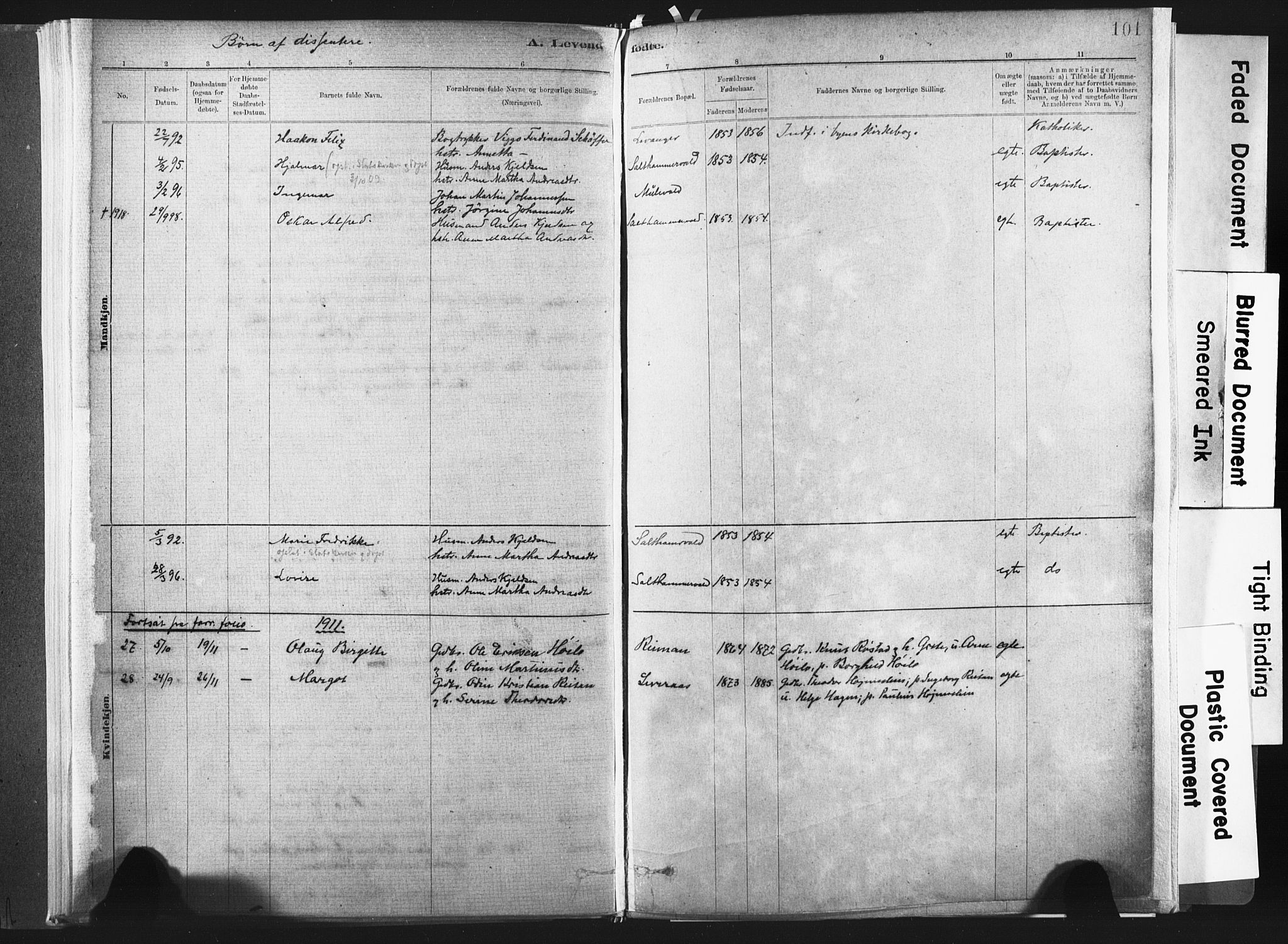 Ministerialprotokoller, klokkerbøker og fødselsregistre - Nord-Trøndelag, SAT/A-1458/721/L0207: Parish register (official) no. 721A02, 1880-1911, p. 101