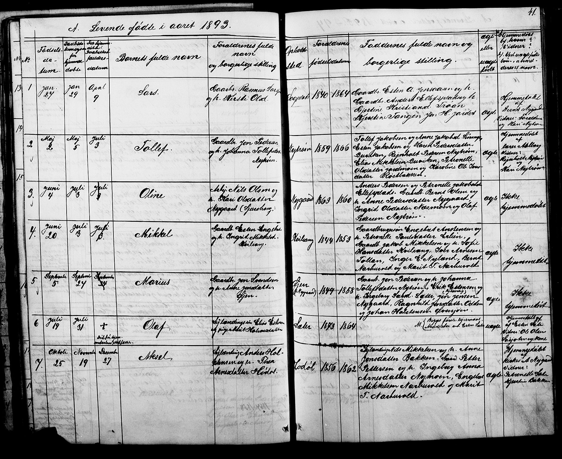 Tolga prestekontor, SAH/PREST-062/L/L0006: Parish register (copy) no. 6, 1864-1894, p. 41