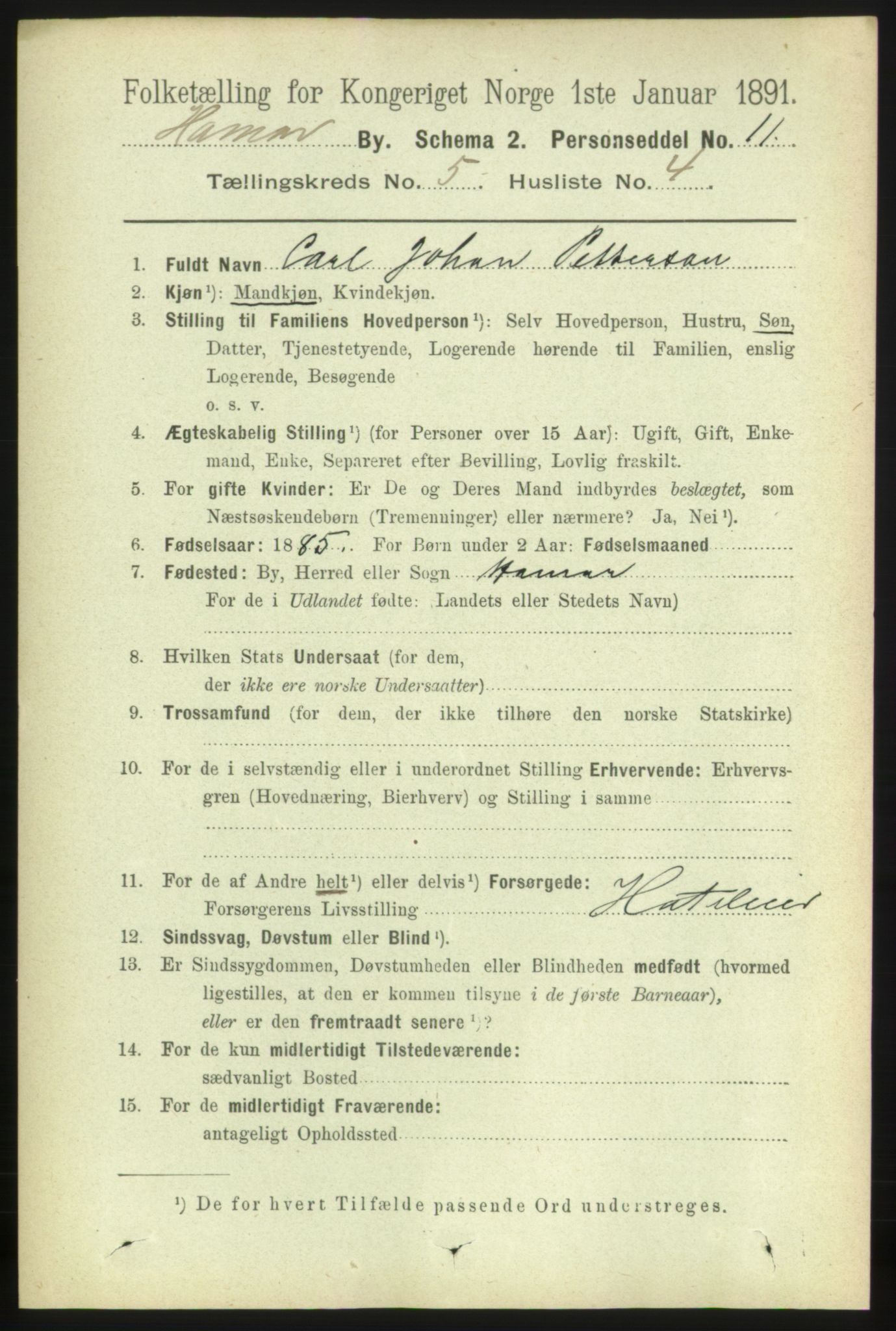 RA, 1891 census for 0401 Hamar, 1891, p. 3745