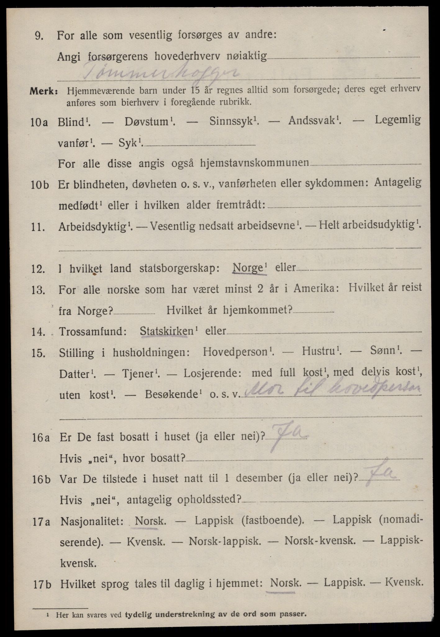 SAT, 1920 census for Selbu, 1920, p. 8493