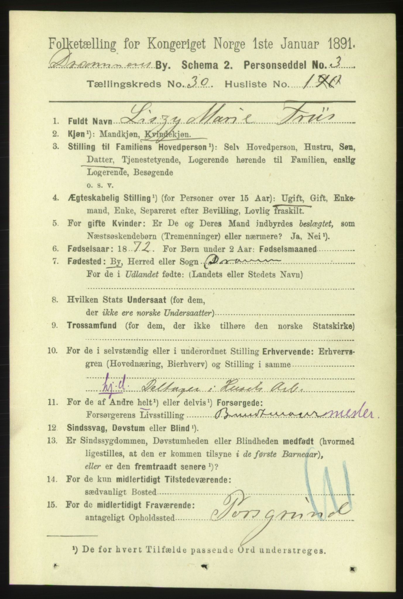 RA, 1891 census for 0602 Drammen, 1891, p. 18077