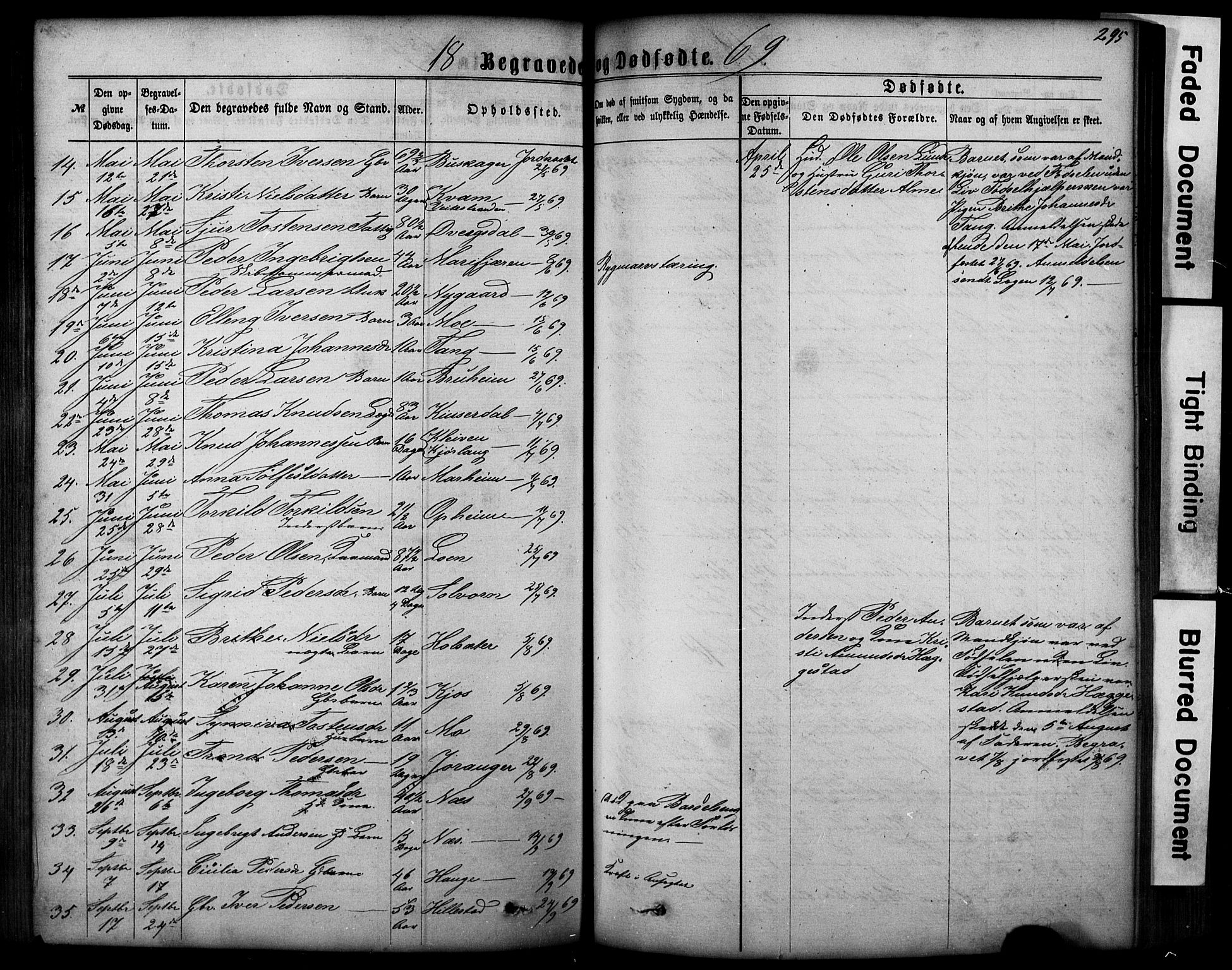 Hafslo sokneprestembete, SAB/A-80301/H/Hab/Haba/L0001: Parish register (copy) no. A 1, 1866-1908, p. 295