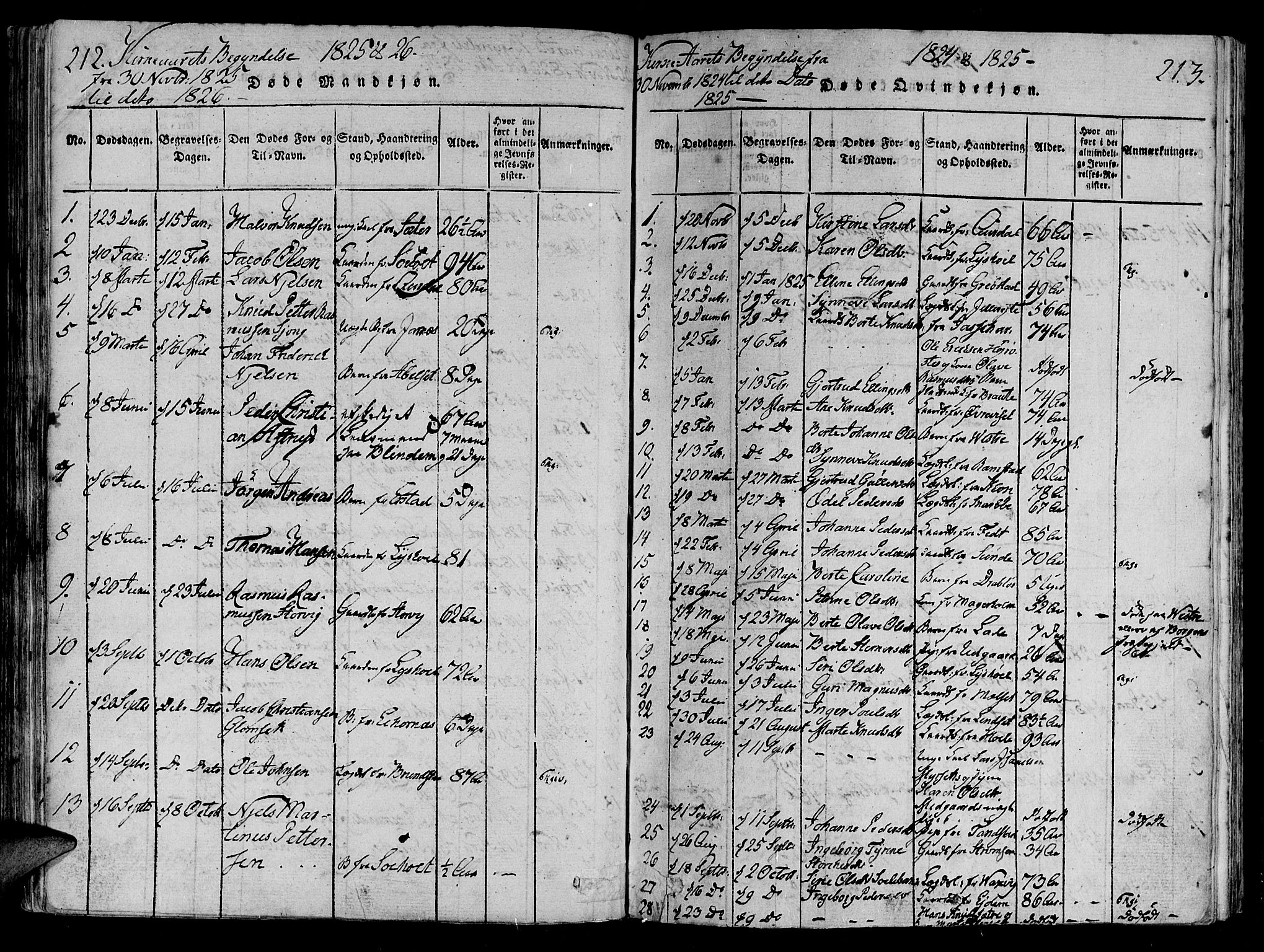 Ministerialprotokoller, klokkerbøker og fødselsregistre - Møre og Romsdal, SAT/A-1454/522/L0310: Parish register (official) no. 522A05, 1816-1832, p. 212-213