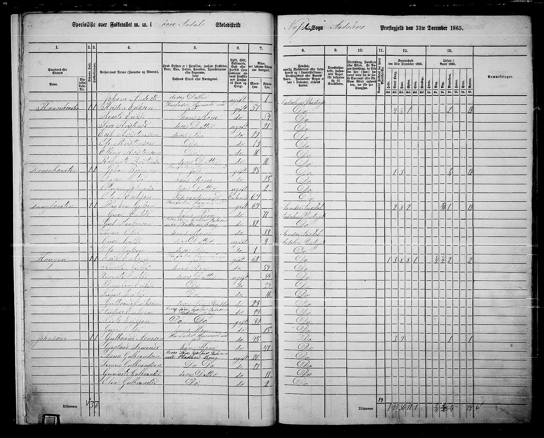 RA, 1865 census for Ådal, 1865, p. 11