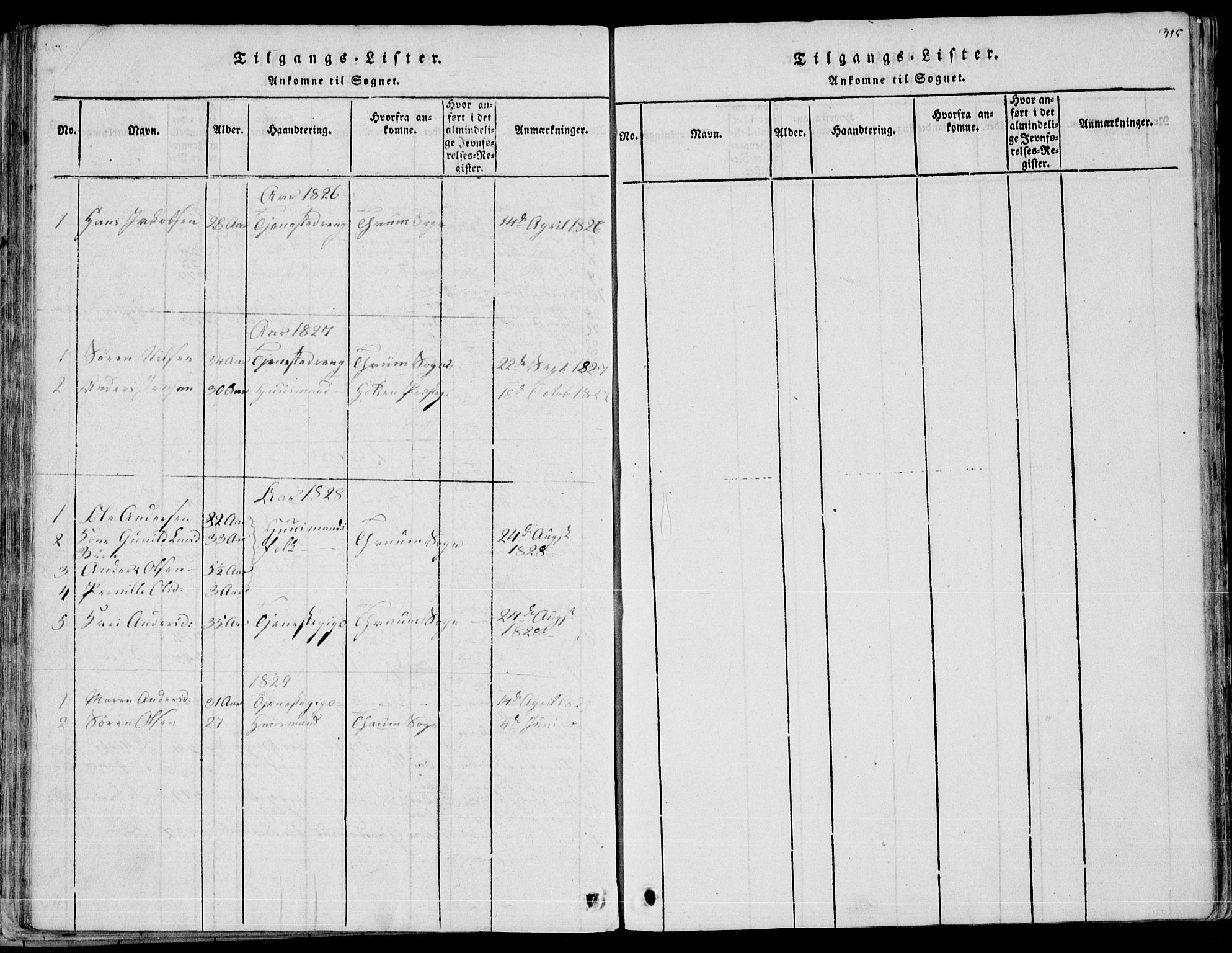 Eidanger kirkebøker, SAKO/A-261/F/Fa/L0007: Parish register (official) no. 7, 1814-1831, p. 315