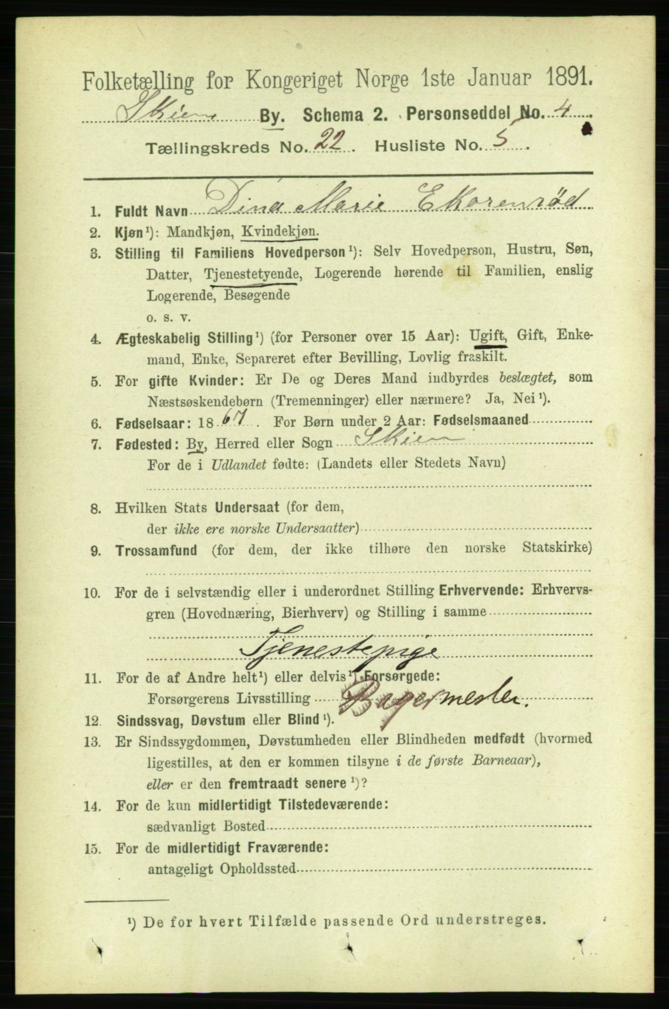 RA, 1891 census for 0806 Skien, 1891, p. 5721