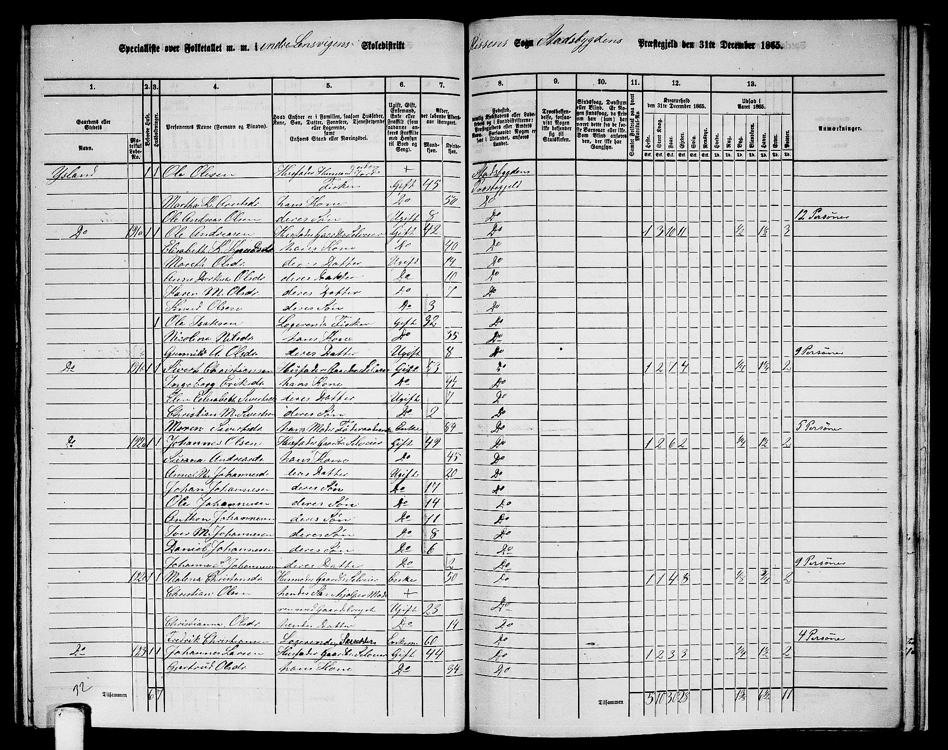 RA, 1865 census for Stadsbygd, 1865, p. 206