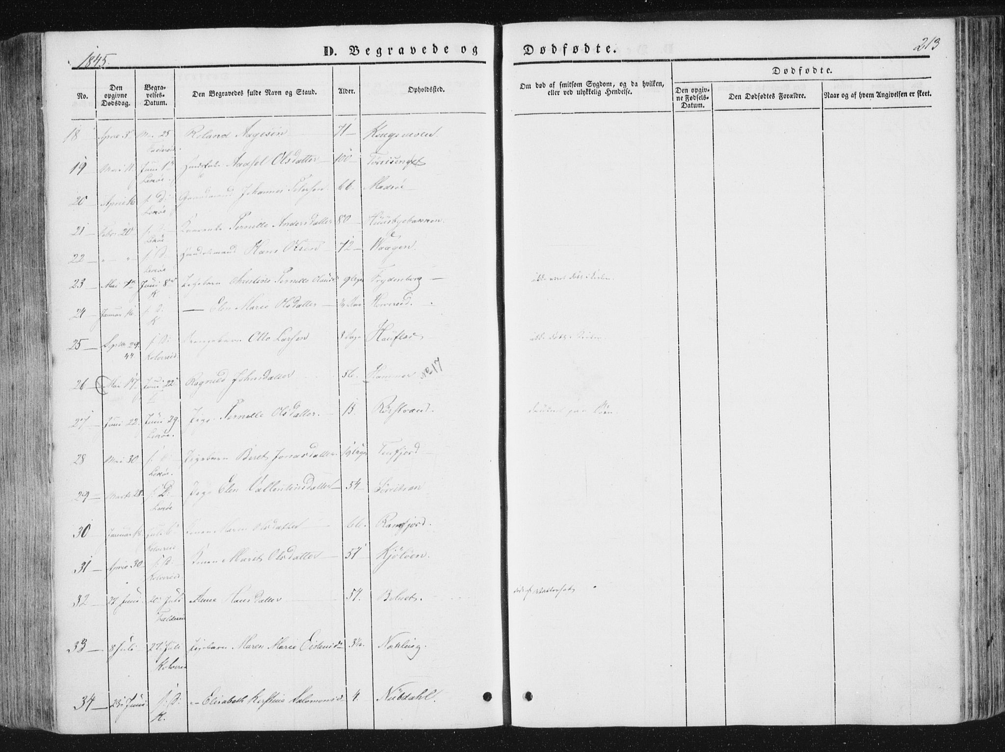 Ministerialprotokoller, klokkerbøker og fødselsregistre - Nord-Trøndelag, SAT/A-1458/780/L0640: Parish register (official) no. 780A05, 1845-1856, p. 213